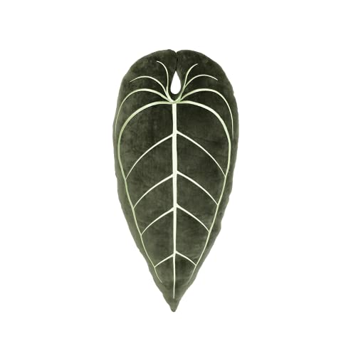 Green Philosophy Co. Plush Succulent Leaf Pillow 3D Accent Anthurium Warocqueanum Plant Throw Pillows for Couch Sofa Living Room Home Decor for Plant & Garden Lovers, Green Thumb Family & Friends