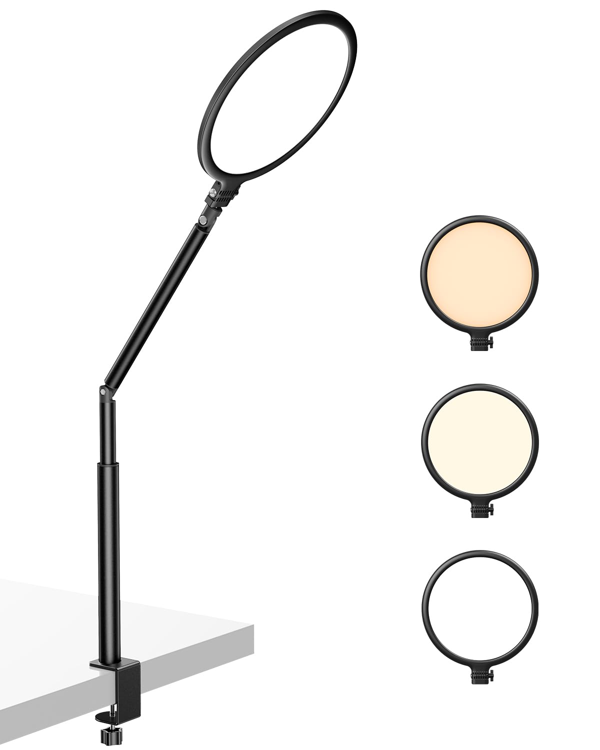 Weilisi 10.2" Desk Ring Light with Stand for Zoom Meetings, Ring Light for Desk with Clamp, 360° Rotate & Flexible Height Video Conference Light, Adjust Arm Desk Lamp Zoom Light for Home Office: Weilisi 10.2" Desk Ring Light with Stand for Zoom Meetings, Ring Light for Desk with Clamp, 360° Rotate & Flexible Height Video Conference Light, Adjust Arm Desk Lamp Zoom Light for Home Office