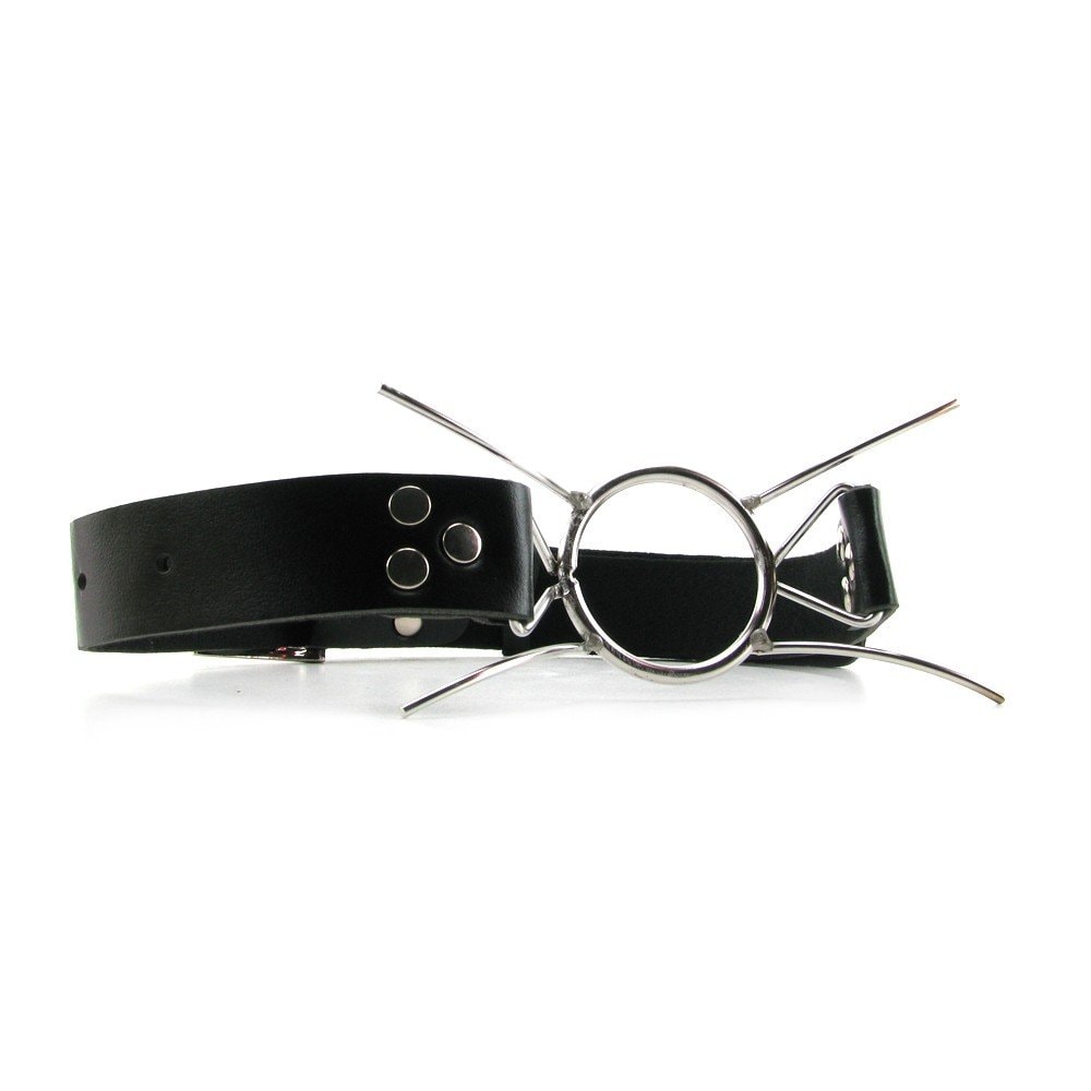 Fetish Fantasy Extreme Spider Gag, Silver: 1