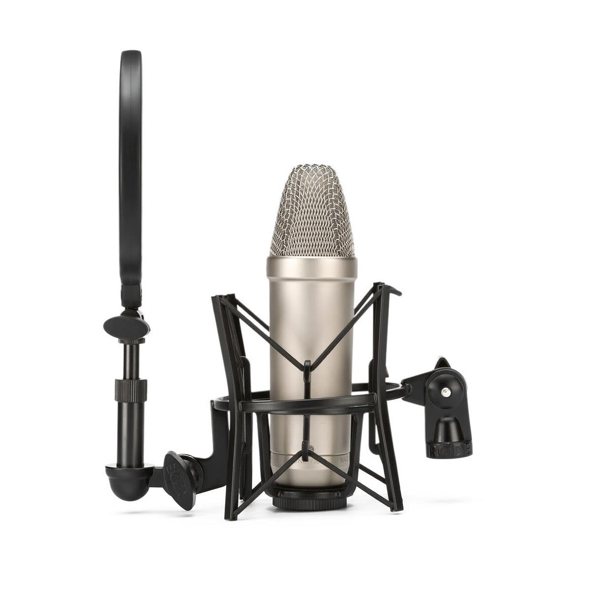 RØDE NT1 5th Generation Large-diaphragm Studio Condenser Microphone with XLR and USB Outputs, Shock Mount and Pop Filter for Music Production, Vocal Recording and Podcasting (Black): NT1 3rd Gen Silver