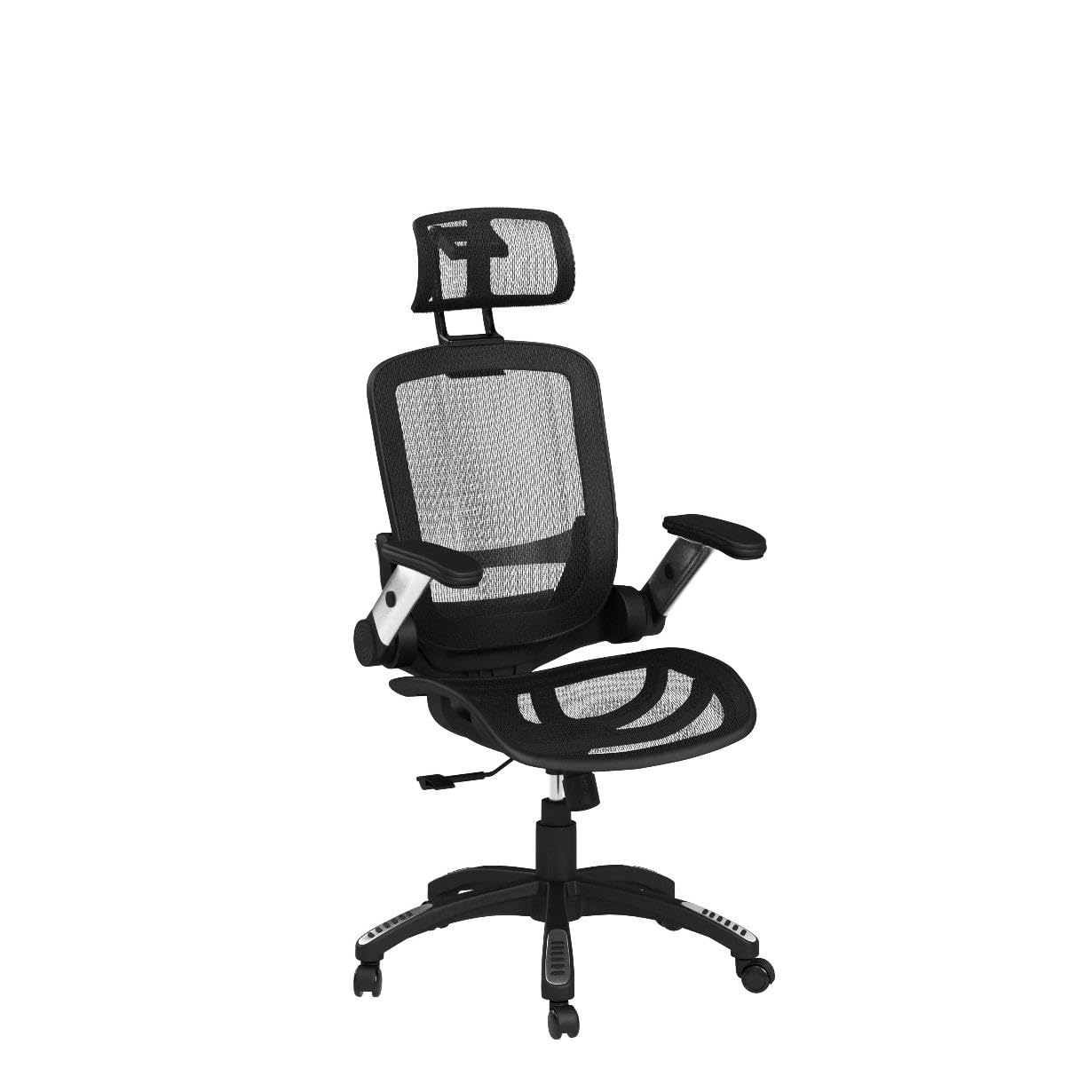 GABRYLLY Ergonomic Office Chair, High Back Home Desk Chair with Headrest, Flip-Up Arms, 90-120° Tilt Lock and Wide Cushion, Big and Tall Mesh Chairs for Man Woman, Black Task Chair: GABRYLLY Ergonomic Office Chair, High Back Home Desk Chair with Headrest, Flip-Up Arms, 90-120° Tilt Lock and Wide Cushion, Big and Tall Mesh Chairs for Man Woman, Black Task Chair