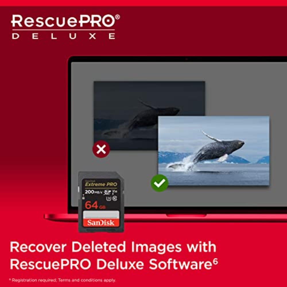 SanDisk 128GB Extreme PRO SDXC UHS-I Memory Card - C10, U3, V30, 4K UHD, SD Card - SDSDXXD-128G-GN4IN: 64GB Memory Card Only