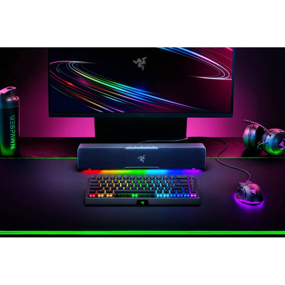 Razer Leviathan  PC Soundbar with Full-Range Drivers - Compact Design - Chroma RGB - USB Type C Power and Audio Delivery - Bluetooth 5.0 - for PC, Laptop, Smartphones, Tablets & Nintendo Switch: V2 X