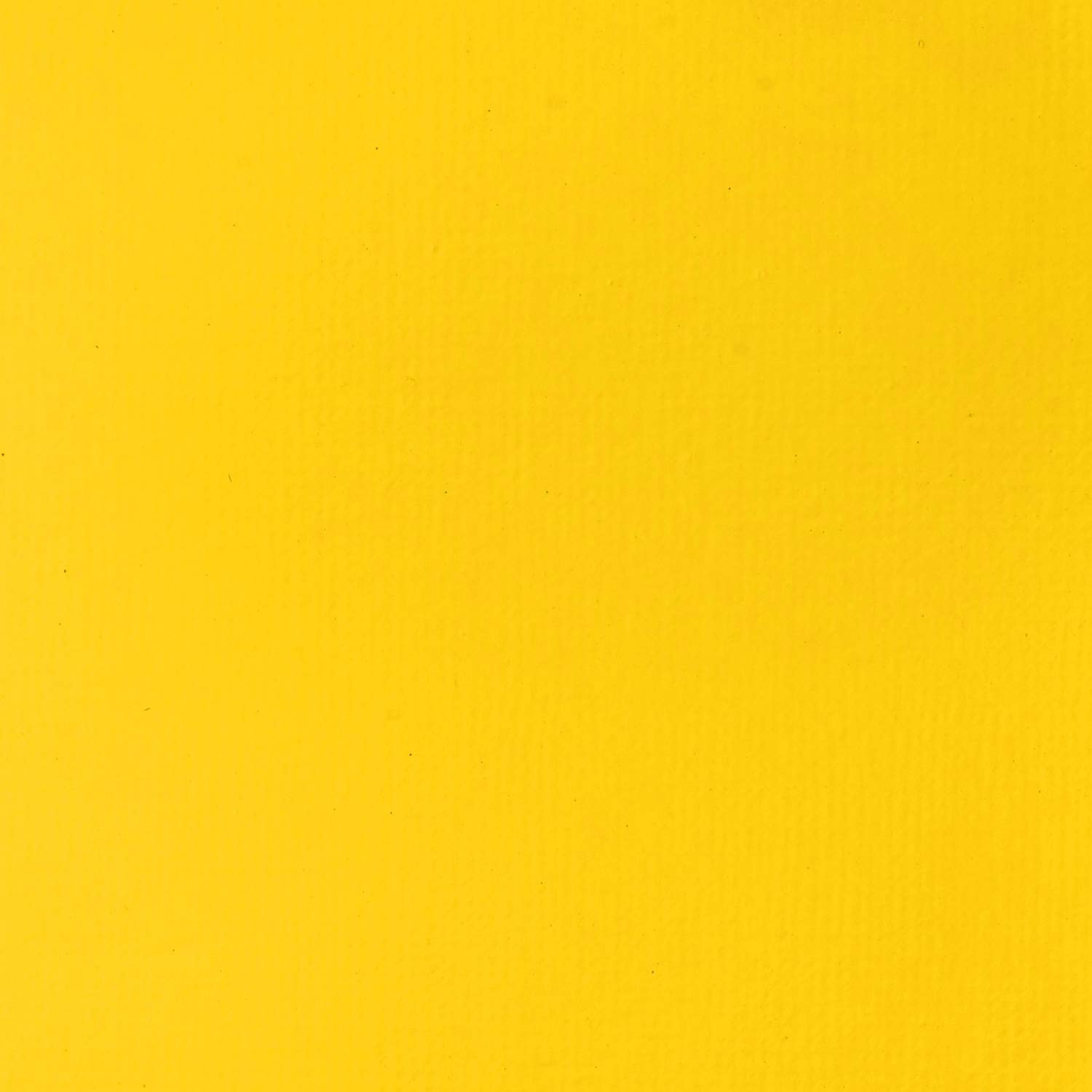 Liquitex BASICS Acrylic Paint, 118ml (4-oz) Tube, Bronze Yellow: Cadmium Yellow Light Hue 4 Fl Oz (Pack of 1)