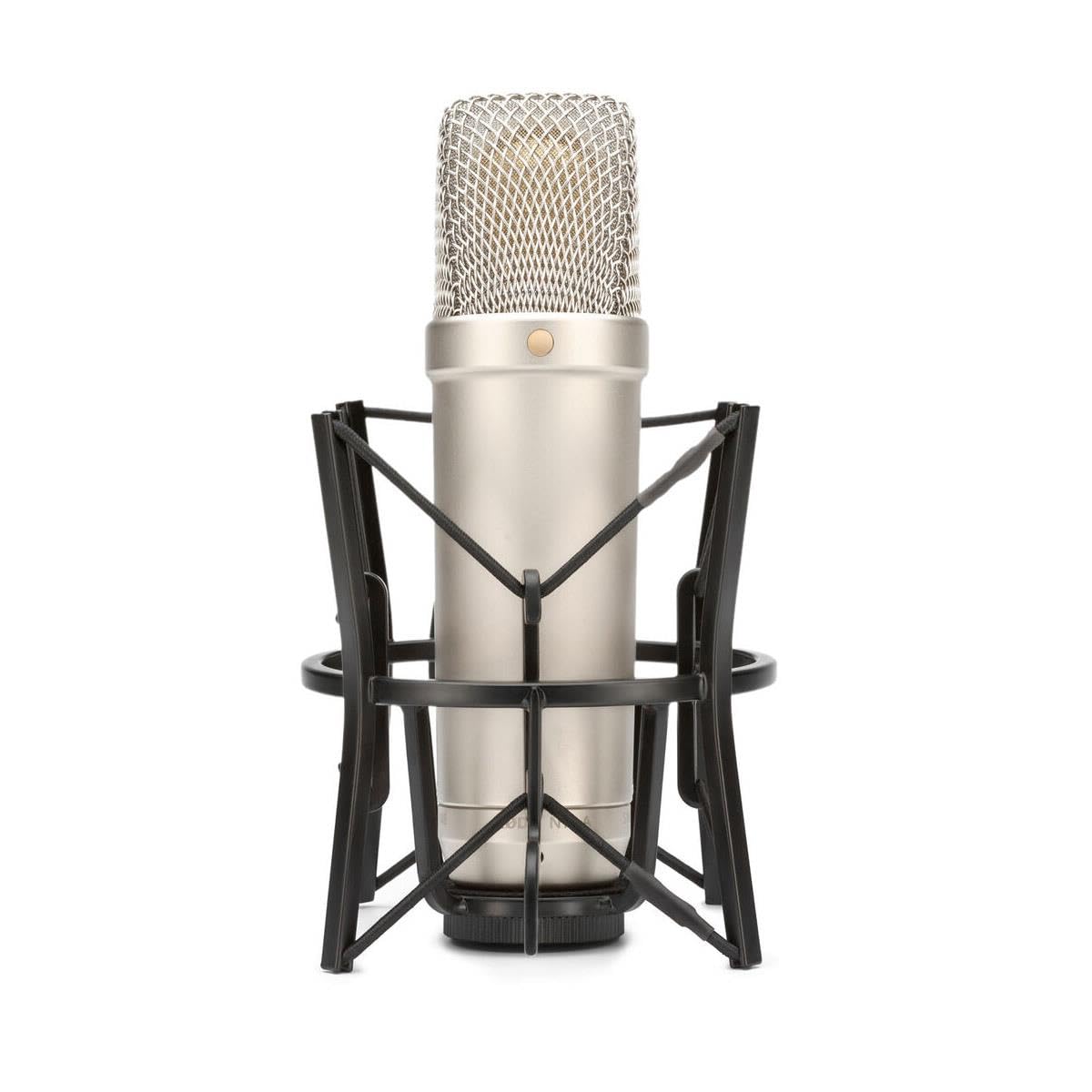 RØDE NT1 5th Generation Large-diaphragm Studio Condenser Microphone with XLR and USB Outputs, Shock Mount and Pop Filter for Music Production, Vocal Recording and Podcasting (Black): NT1 3rd Gen Silver
