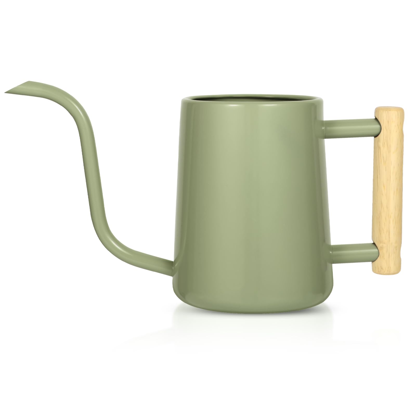 Watering Can Indoor Plants, 35 oz/1000 ml Metal Stainless Steel Watering Can Pot with Long Spout for Indoor House Plants Bonsai Outdoor Garden Flower Decorative (): Sage Green