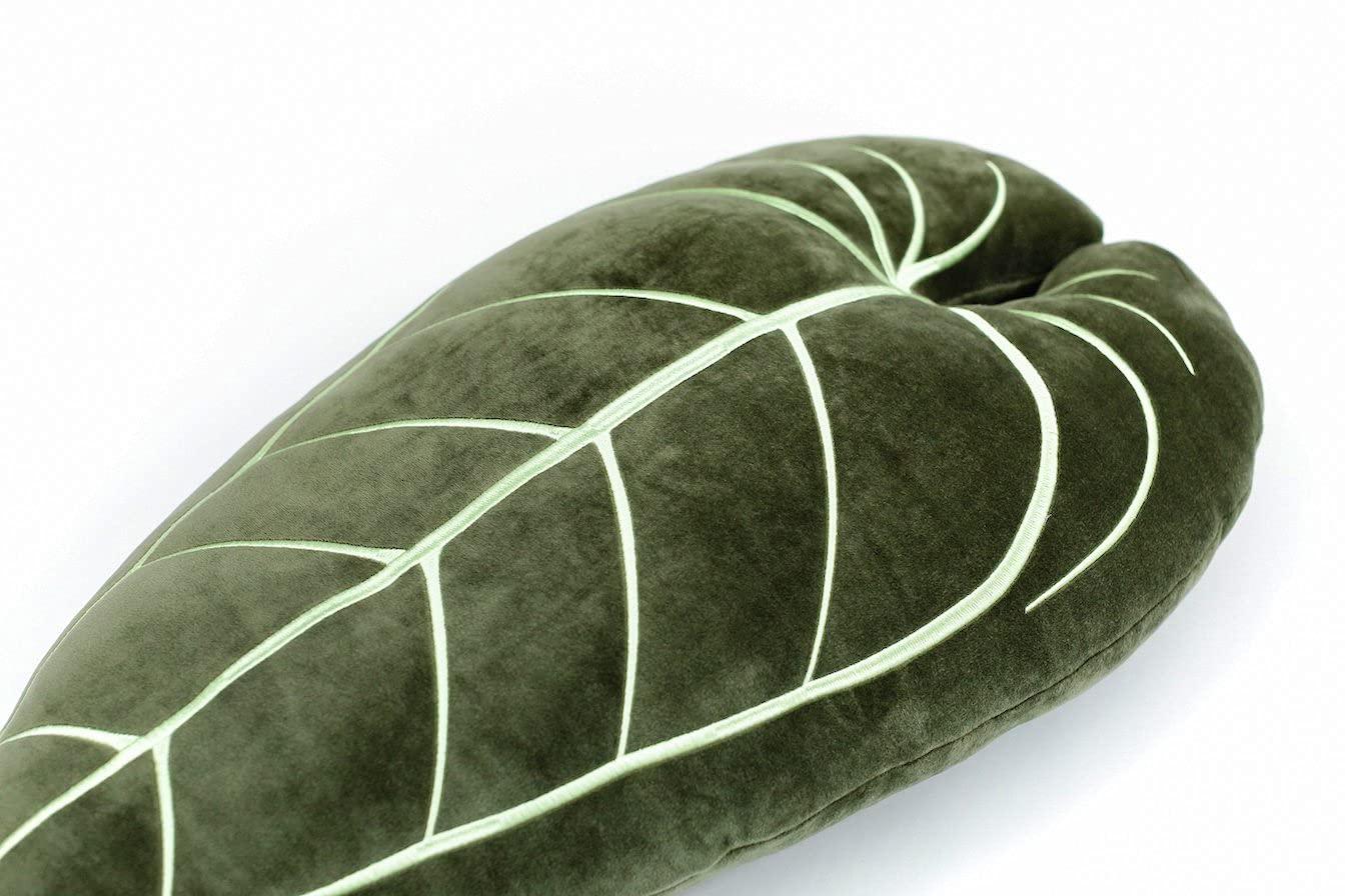 Green Philosophy Co. Plush Succulent Leaf Pillow 3D Accent Anthurium Warocqueanum Plant Throw Pillows for Couch Sofa Living Room Home Decor for Plant & Garden Lovers, Green Thumb Family & Friends