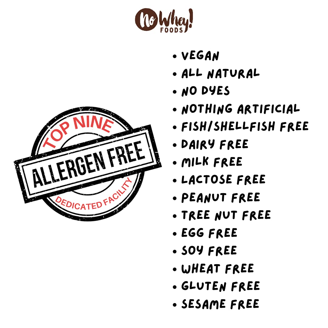 Vegan, Gluten Free Chocolatey Covered Pretzels (2 Pack) | Dairy Free, Peanut Free, Nut Free, Soy Free, All Natural, Sesame Free | Allergy Friendly | No Whey Foods: Vegan, Gluten Free Chocolatey Covered Pretzels (2 Pack) | Dairy Free, Peanut Free, Nut Free, Soy Free, All Natural, Sesame Free | Allergy Friendly | No Whey Foods