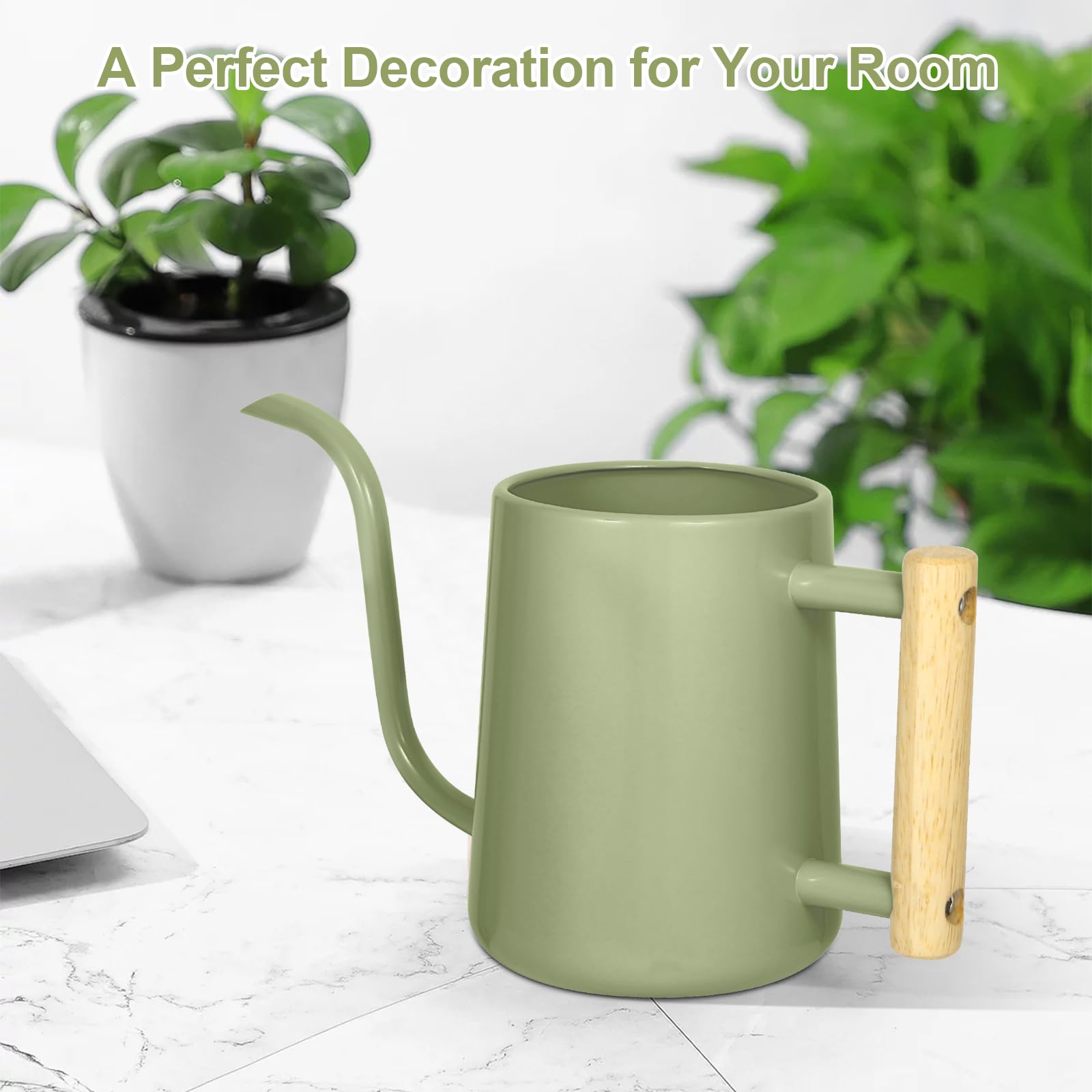 Watering Can Indoor Plants, 35 oz/1000 ml Metal Stainless Steel Watering Can Pot with Long Spout for Indoor House Plants Bonsai Outdoor Garden Flower Decorative (): Sage Green