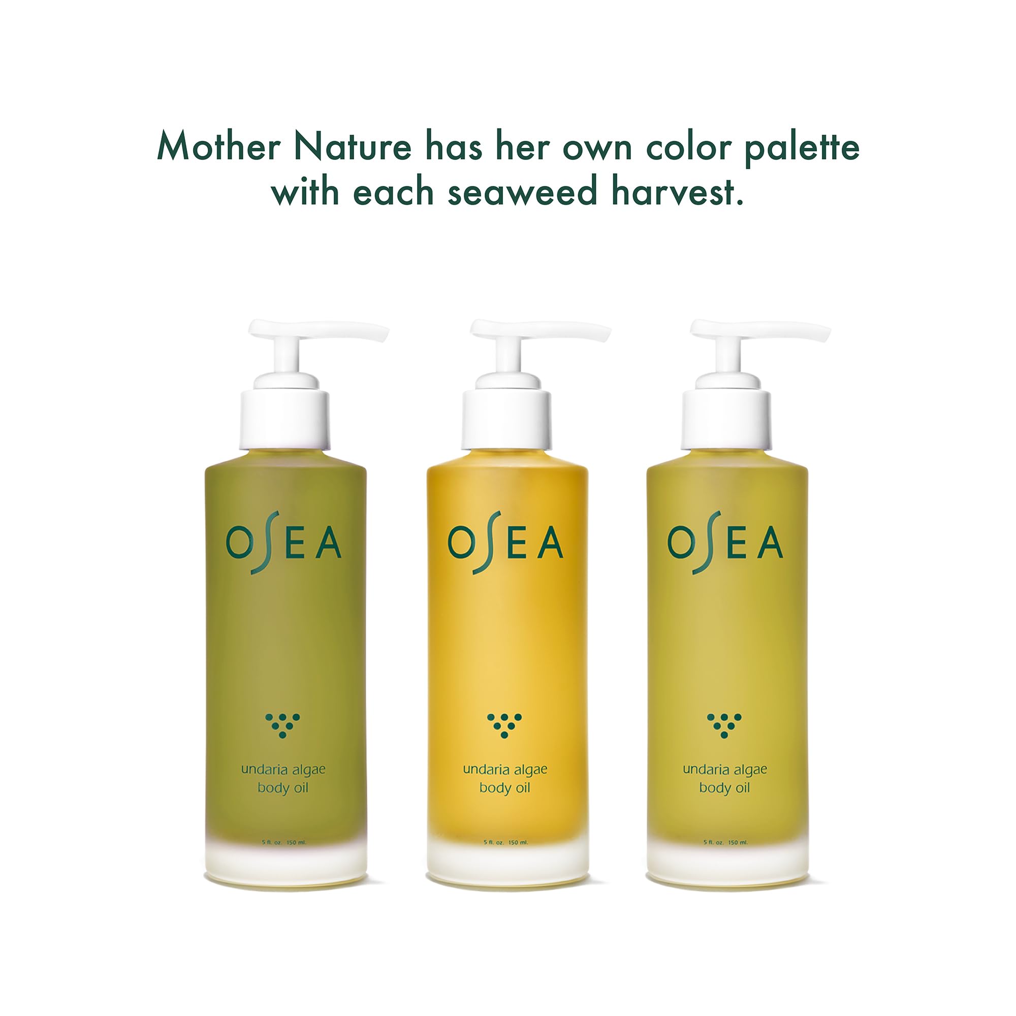 OSEA Undaria Algae™ Body Oil 5 oz - After Shower Body Oil - Non-Greasy Body Serum & Fast Absorbing Skincare - Clean Beauty & Vegan Seaweed Body Moisturizer for Dry Skin: 5 Fl Oz (Pack of 1)