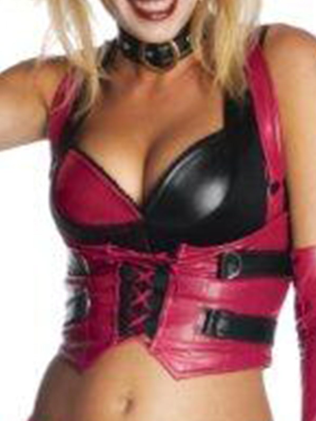 Secret Wishes Batman Arkham City Harley Quinn Costume