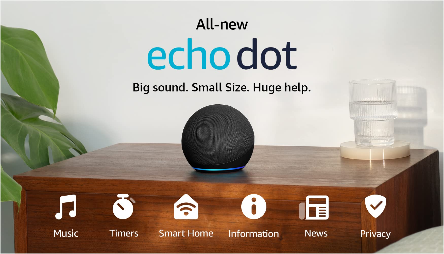Amazon Echo Dot (newest model), Vibrant sounding Alexa speaker, Great for bedrooms, dining rooms and offices, Charcoal: Charcoal Device only