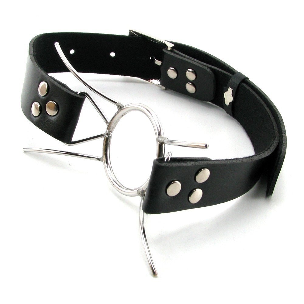 Fetish Fantasy Extreme Spider Gag, Silver: 1
