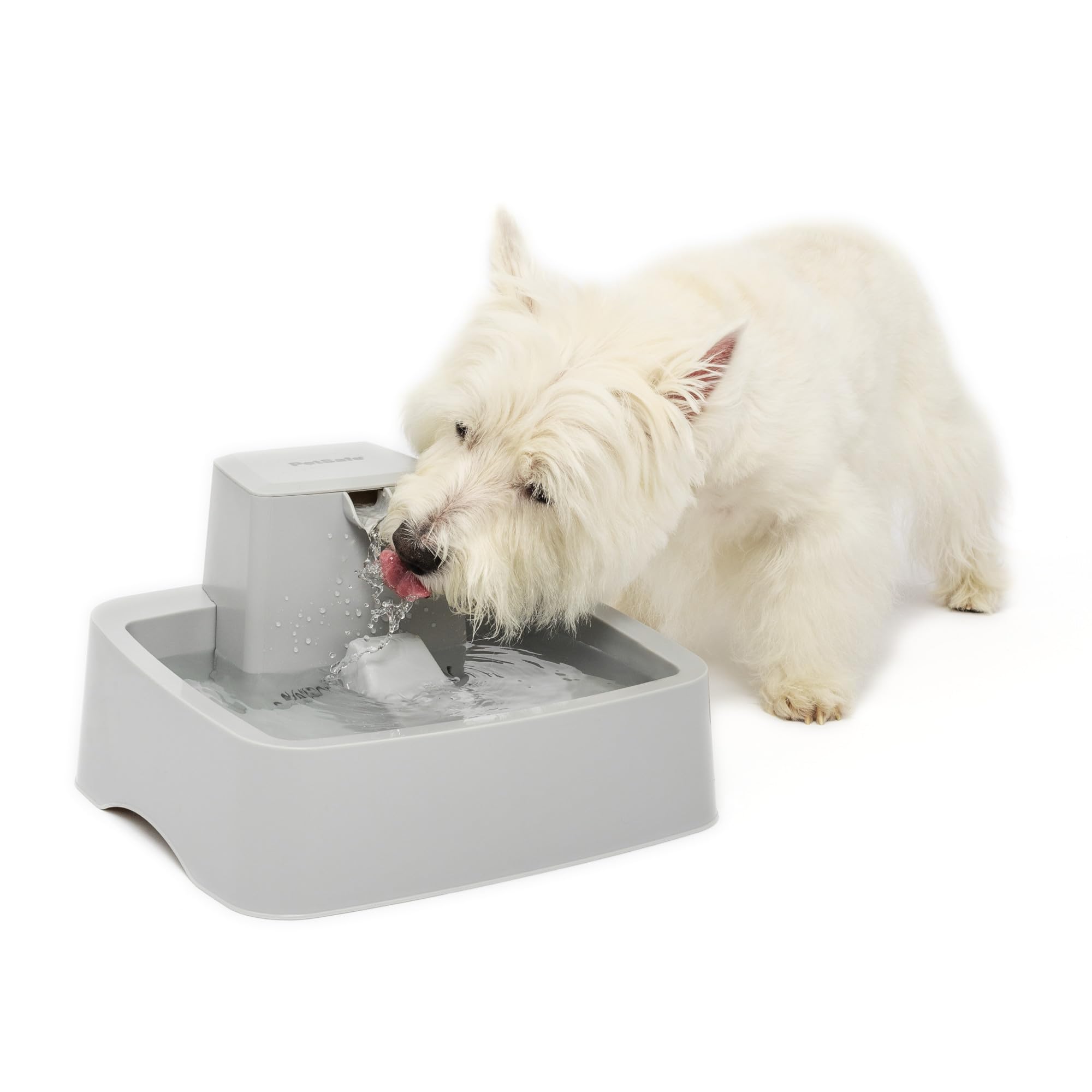 PetSafe Oasys 1/2 Gallon (64 Ounce) Small Pet Fountain - Small Dog and Cat Water Fountain - Dishwasher Safe Filtered Water Dispenser with Flow Control - Easy to Clean - Filters Included: 1 Gallon Fountain 1 Gallon