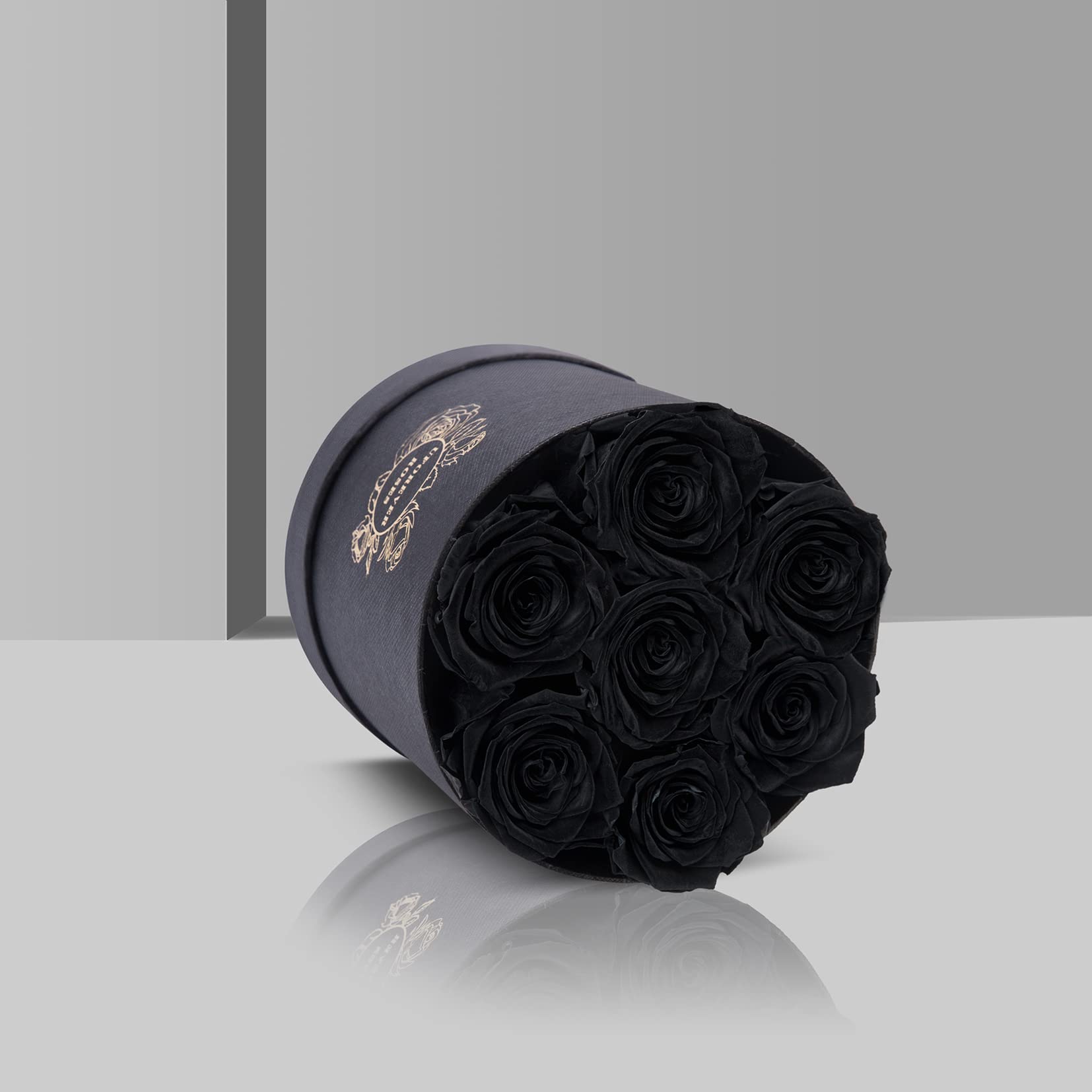 UFOREVER ROSES 7-Piece Preserved Roses in a Box, Flowers Gifts for Her, Roses That Last a Year and More (Black)