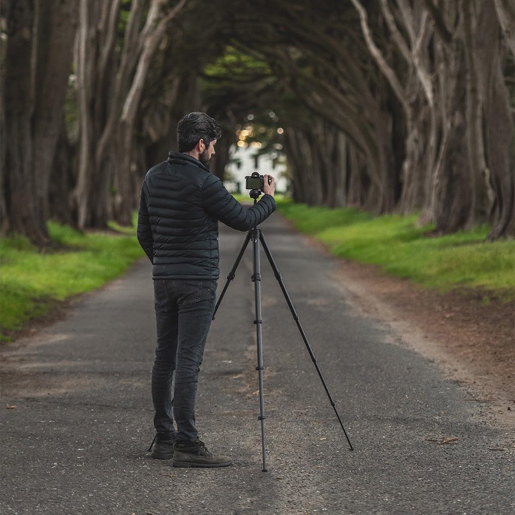 Peak Design Travel Tripod, Carbon Fiber, Compact Design, Quick Setup and Takedown, Pro-Level Stability, Ergonomic Ball Head, Compact and Portable Travel Tripod for Camera and Phone, 20 lb Capacity: Single