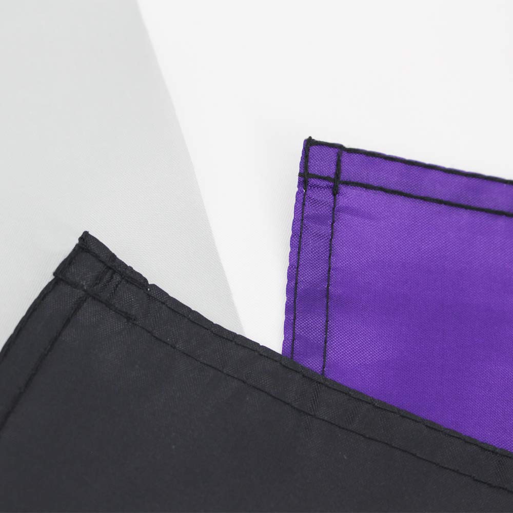 Flaglink Asexual Pride Flag 3x5Fts - LGBTQIA Nonsexual Gender Rainbow Banner