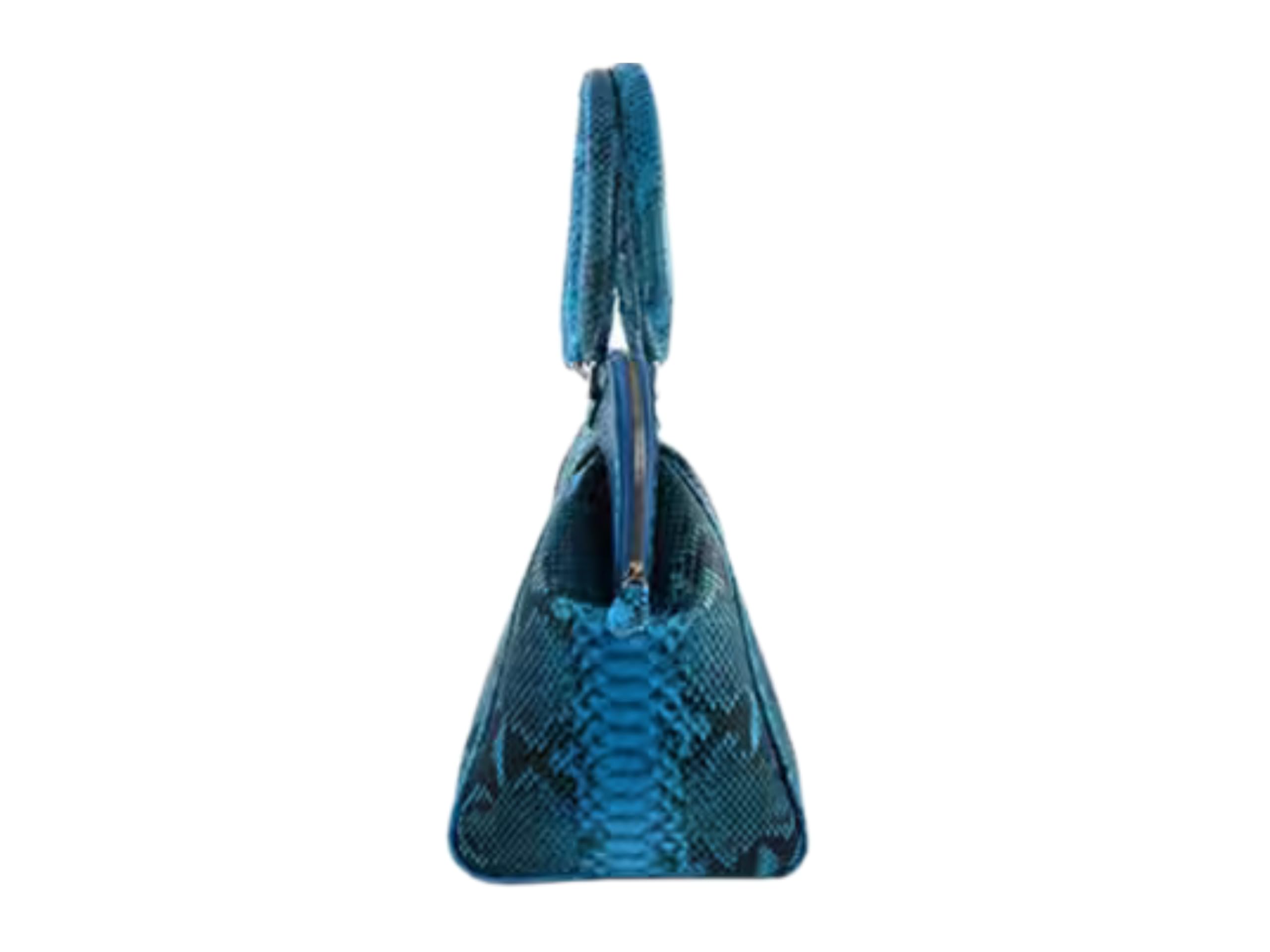 Genuine Exotic Skin Tote Handbags for Wife: Multi Color