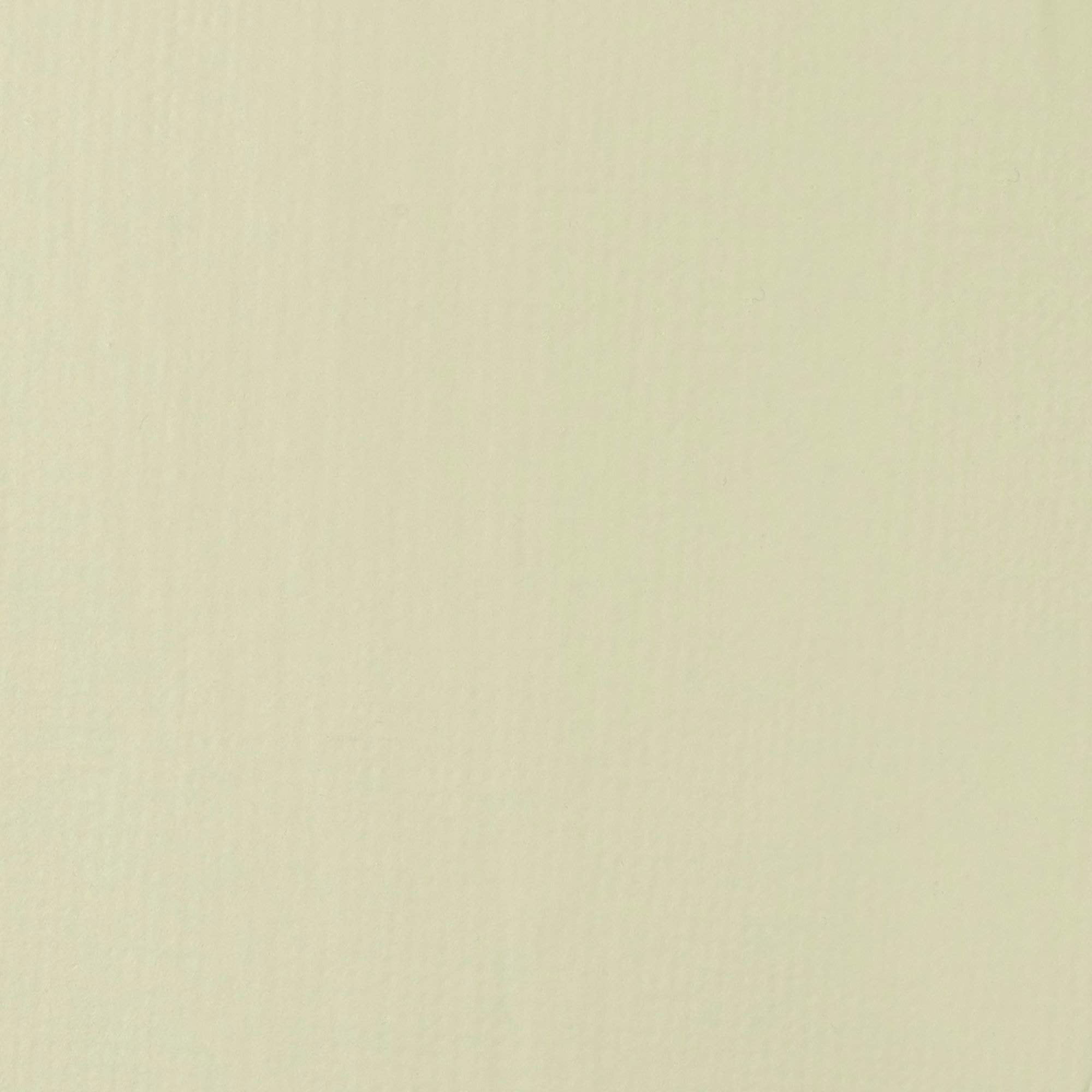 Liquitex BASICS Acrylic Paint, 118ml (4-oz) Tube, Parchment: Parchment 4 Fl Oz (Pack of 1)