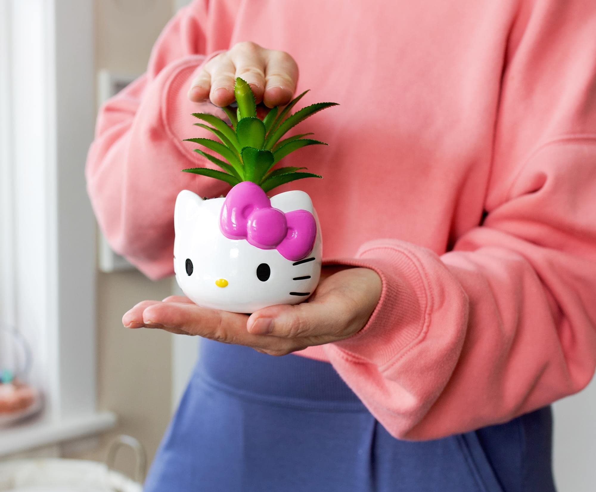 Silver Buffalo Sanrio Hello Kitty Face 3-Inch Ceramic Mini Planter with Artificial Succulent: Silver Buffalo Sanrio Hello Kitty Face 3-Inch Ceramic Mini Planter with Artificial Succulent