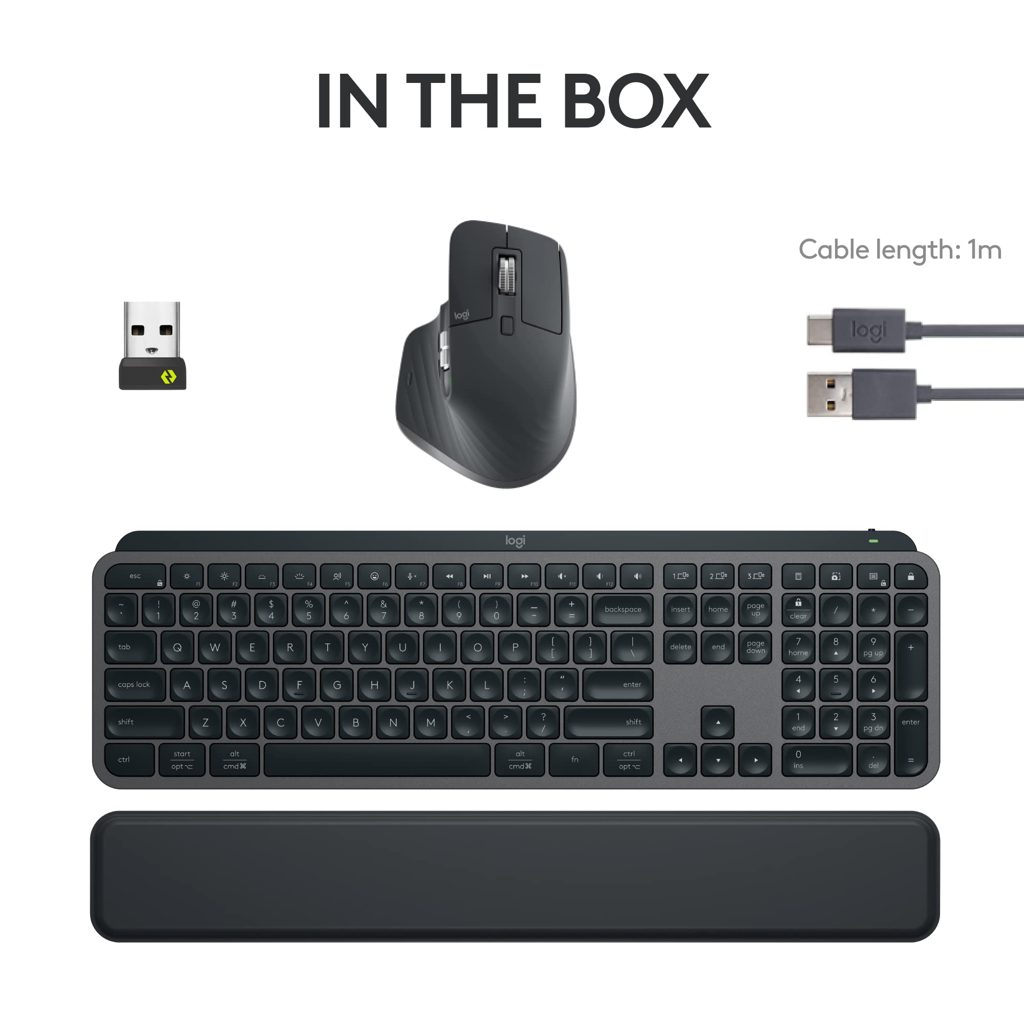 Logitech MX Master 3S Wireless Mouse Standard Edition with Logi Bolt USB Receiver, Ultra-fast Scrolling, Ergo, 8K DPI, Track on Glass, Quiet Clicks, USB-C, Bluetooth, Windows, Linux, Chrome - Graphite: Graphite Combo