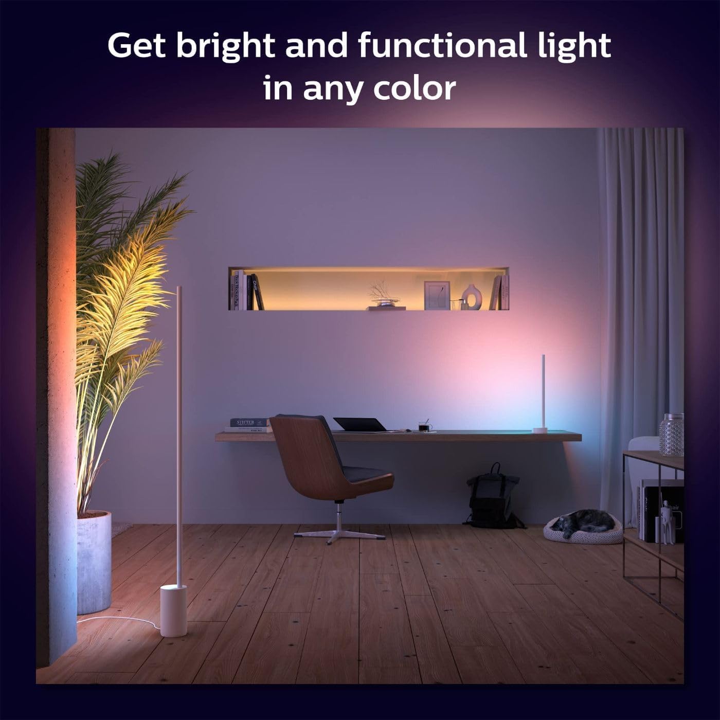 Philips Hue Gradient Signe Floor Lamp, Compatible with Alexa, Apple Homekit and Google Assistant, Bluetooth Compatible, Flowing Multicolor Effect, Black, 1 Count (Pack of 1) thumbnail 6