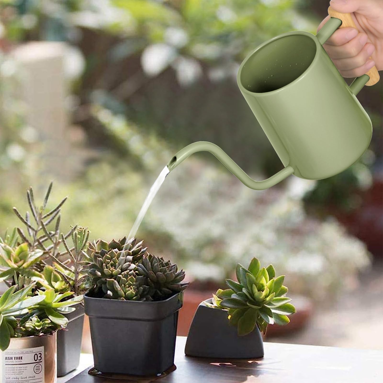 Watering Can Indoor Plants, 35 oz/1000 ml Metal Stainless Steel Watering Can Pot with Long Spout for Indoor House Plants Bonsai Outdoor Garden Flower Decorative (): Sage Green