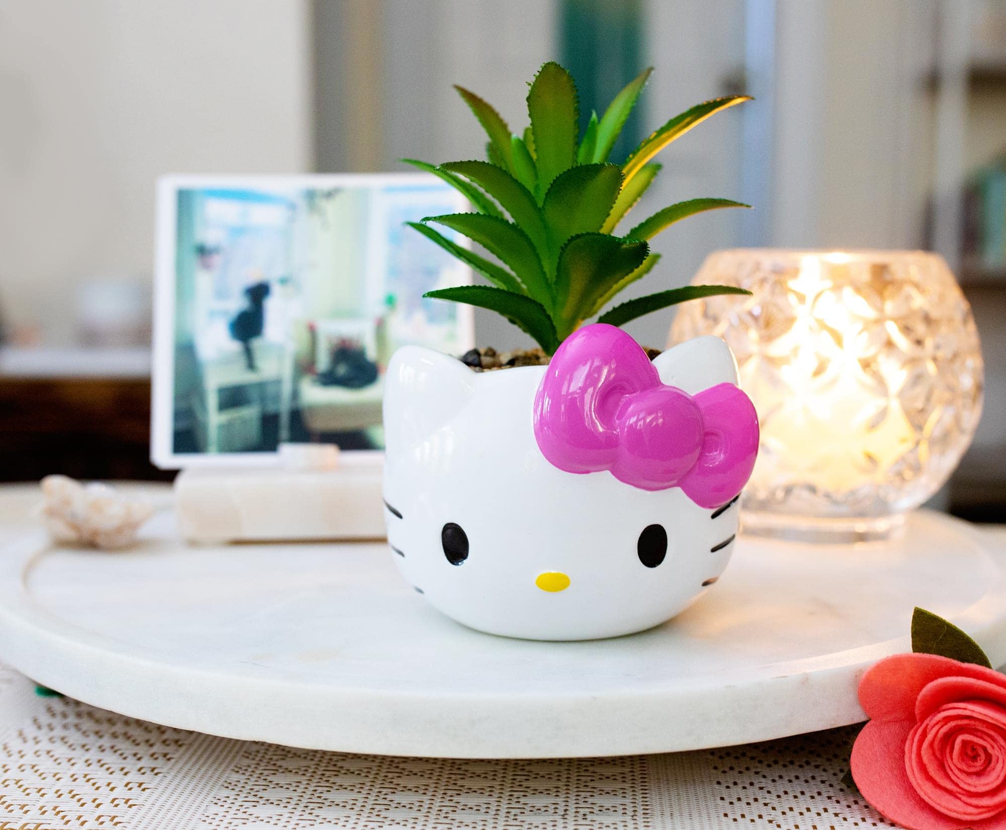 Silver Buffalo Sanrio Hello Kitty Face 3-Inch Ceramic Mini Planter with Artificial Succulent: Silver Buffalo Sanrio Hello Kitty Face 3-Inch Ceramic Mini Planter with Artificial Succulent