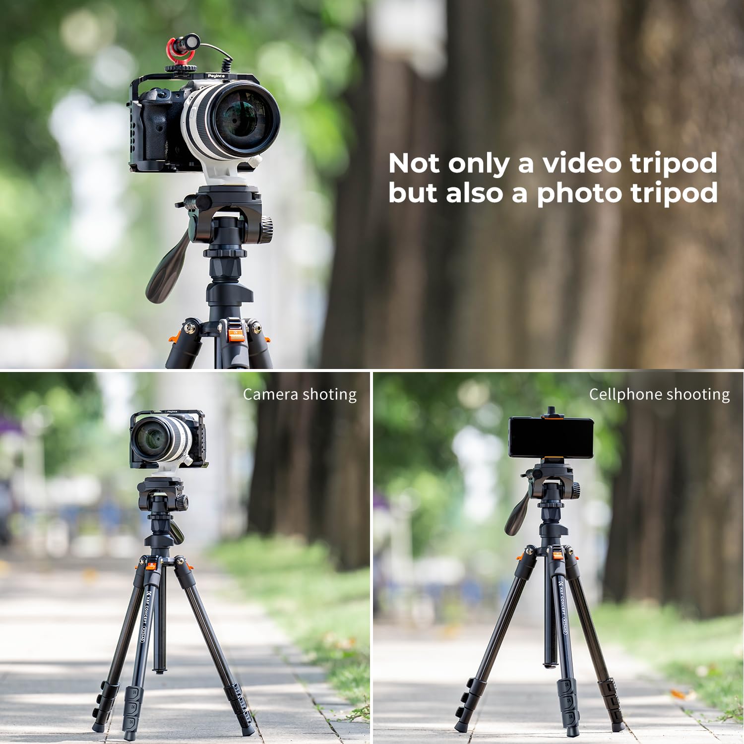 K&F Concept 78 inch Camera Tripod for DSLR Compact Aluminum Tripod with 360 Degree Ball Head and 10KG Load for Travel and Work  (S210): 64" height/Swivel Pan Head