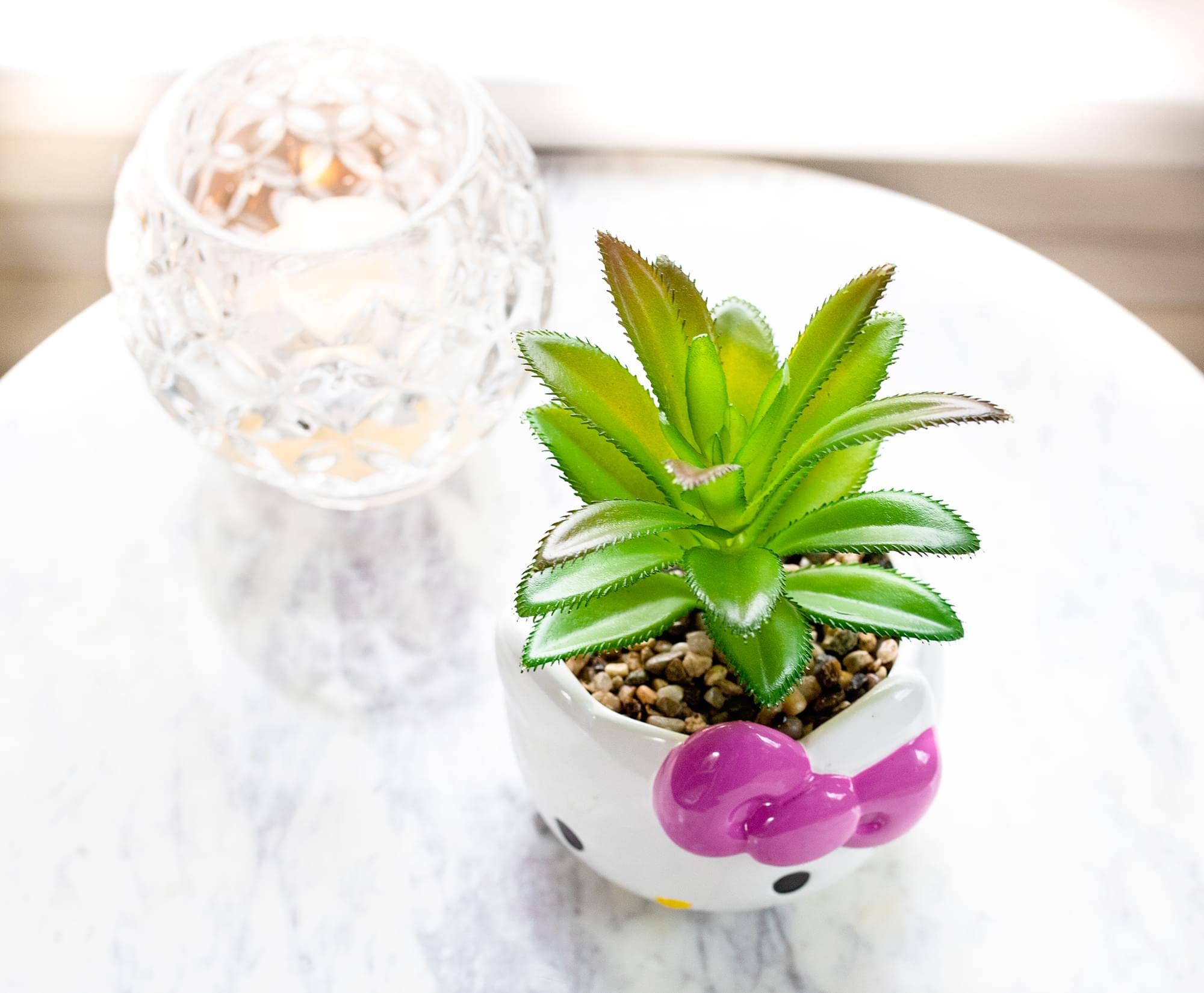 Silver Buffalo Sanrio Hello Kitty Face 3-Inch Ceramic Mini Planter with Artificial Succulent: Silver Buffalo Sanrio Hello Kitty Face 3-Inch Ceramic Mini Planter with Artificial Succulent