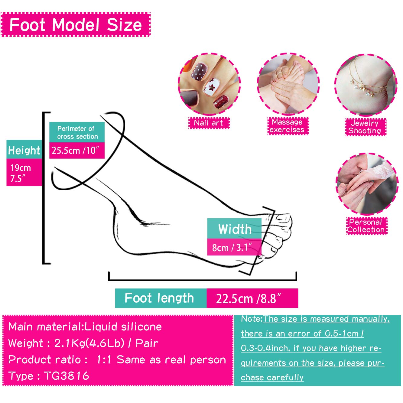 Zishine Silicone Female Foot Model, Silicone Feet Mannequin Built-in Bone, Wrinkles on Soles, Realistic Life-Size 1:1 Ballet Style: 3all Jointbonefixed