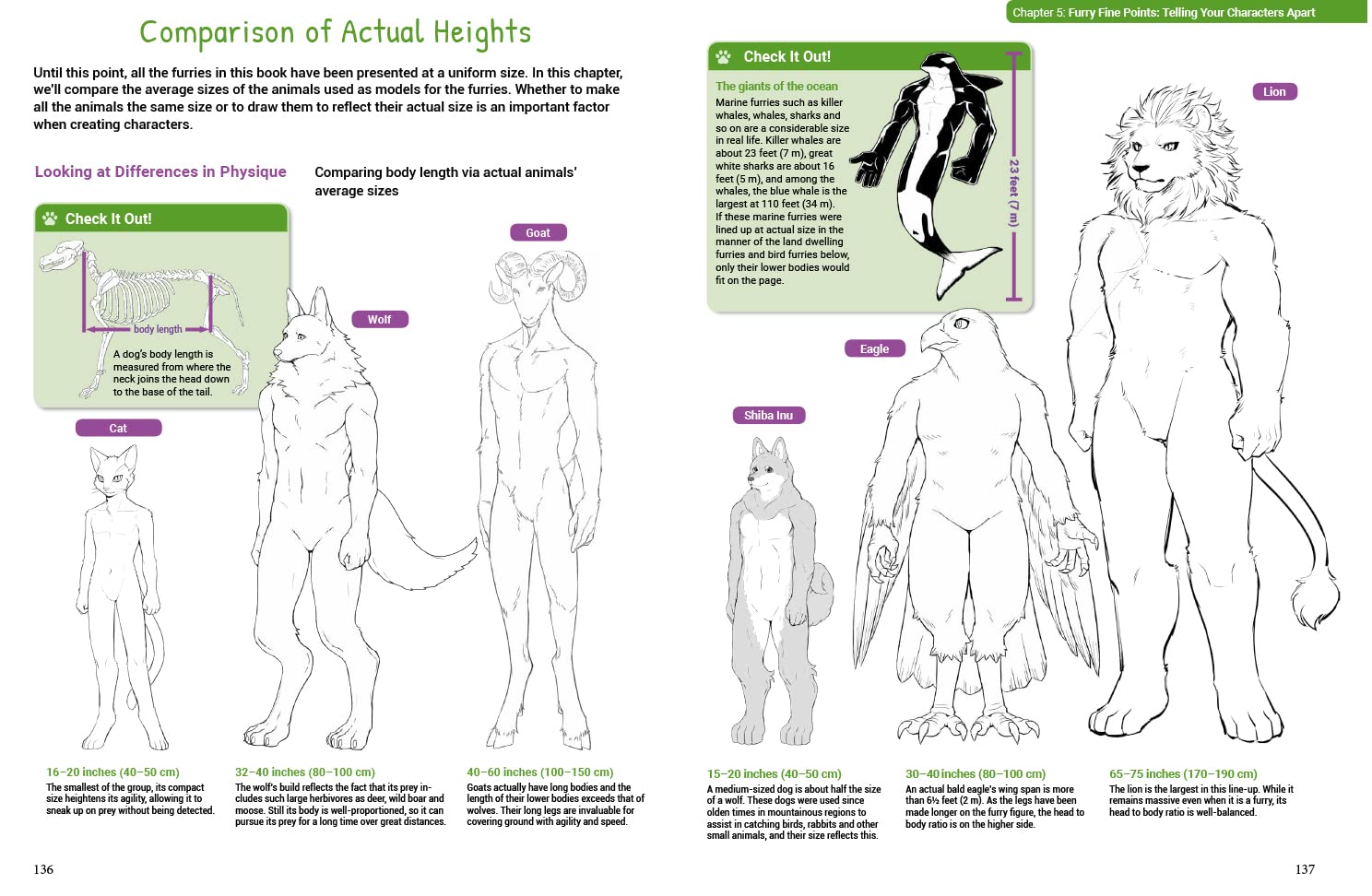 How to Draw Manga Furries: The Complete Guide to Anthropomorphic Fantasy Characters (750 illustrations)