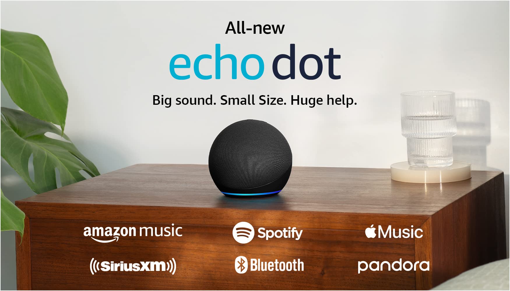 Amazon Echo Dot (newest model), Vibrant sounding Alexa speaker, Great for bedrooms, dining rooms and offices, Charcoal: Charcoal Device only