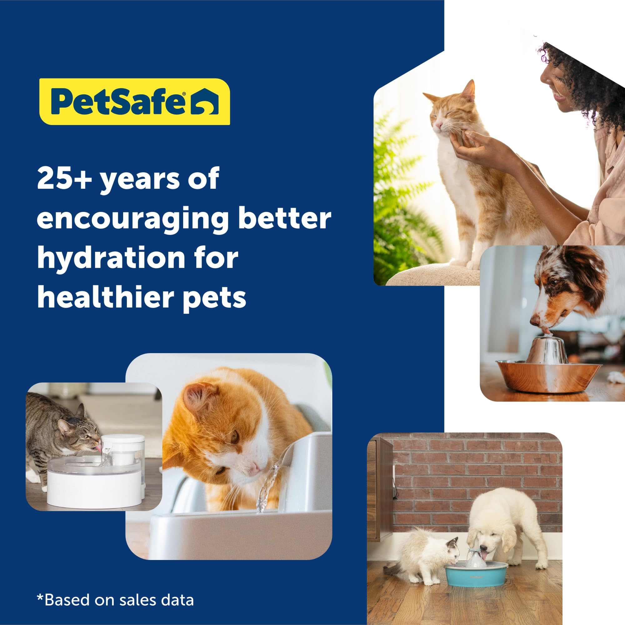 PetSafe Oasys 1/2 Gallon (64 Ounce) Small Pet Fountain - Small Dog and Cat Water Fountain - Dishwasher Safe Filtered Water Dispenser with Flow Control - Easy to Clean - Filters Included: 1 Gallon Fountain 1 Gallon