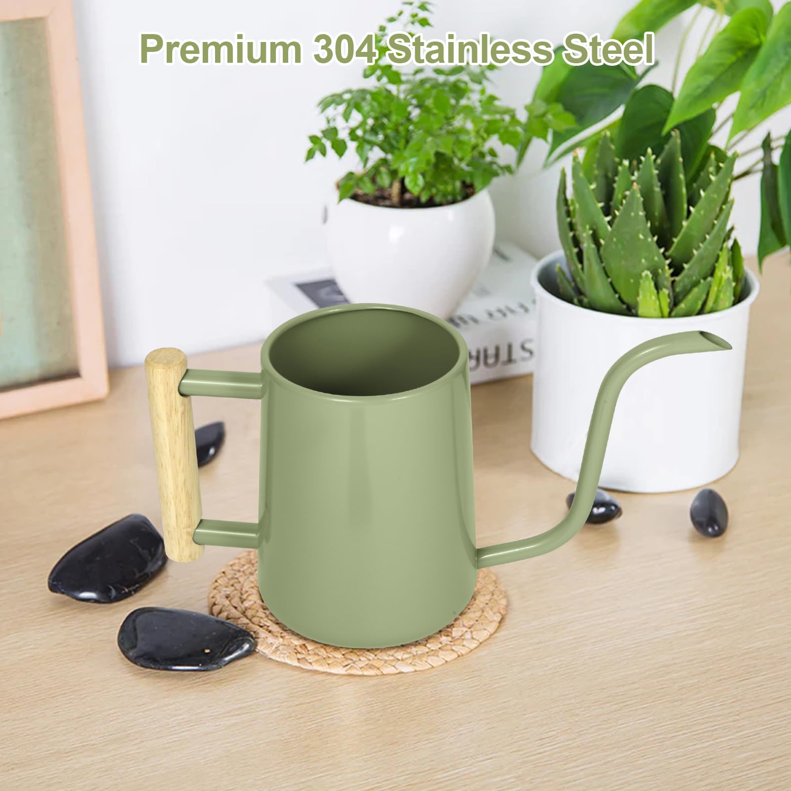 Watering Can Indoor Plants, 35 oz/1000 ml Metal Stainless Steel Watering Can Pot with Long Spout for Indoor House Plants Bonsai Outdoor Garden Flower Decorative (): Sage Green