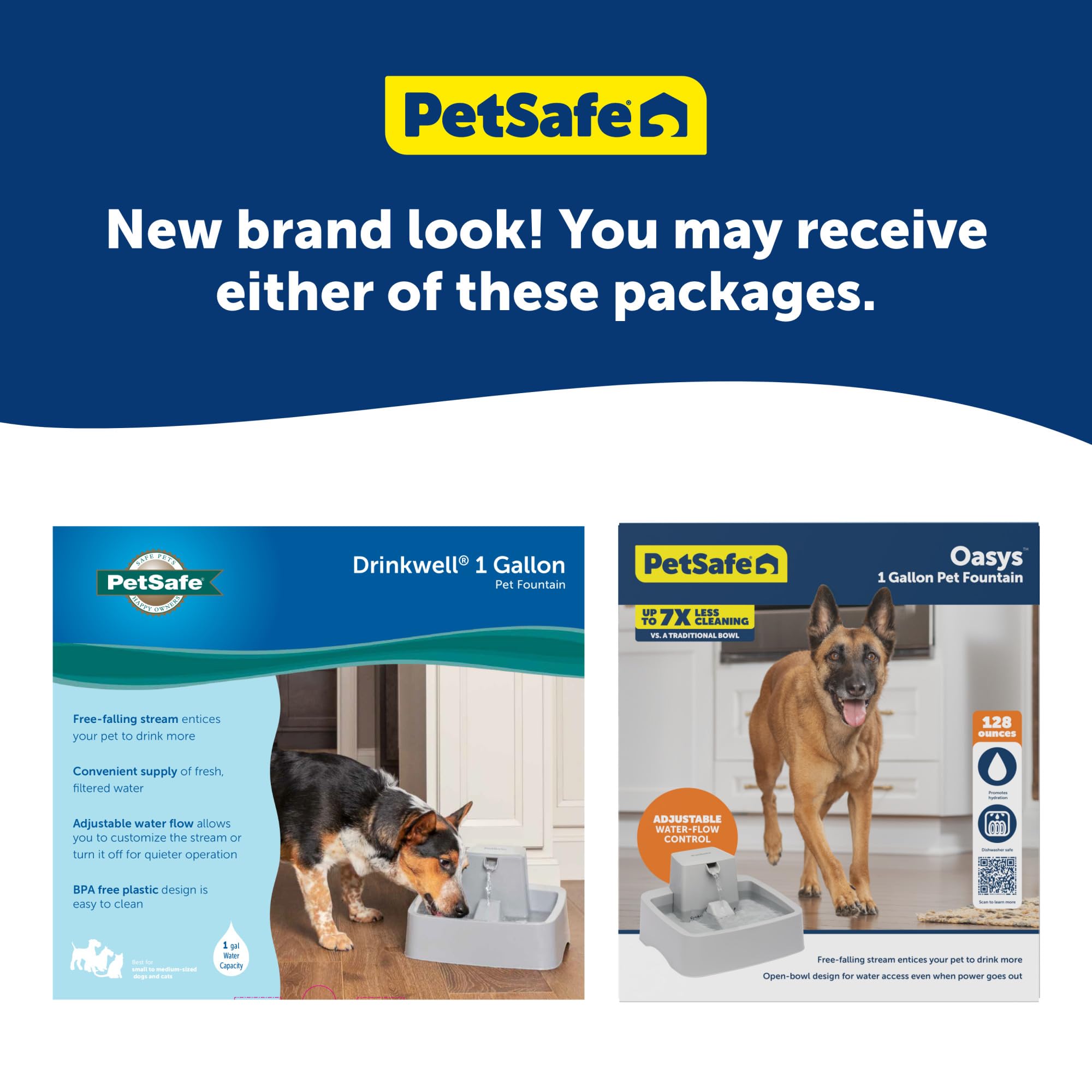 PetSafe Oasys 1/2 Gallon (64 Ounce) Small Pet Fountain - Small Dog and Cat Water Fountain - Dishwasher Safe Filtered Water Dispenser with Flow Control - Easy to Clean - Filters Included: 1 Gallon Fountain 1 Gallon