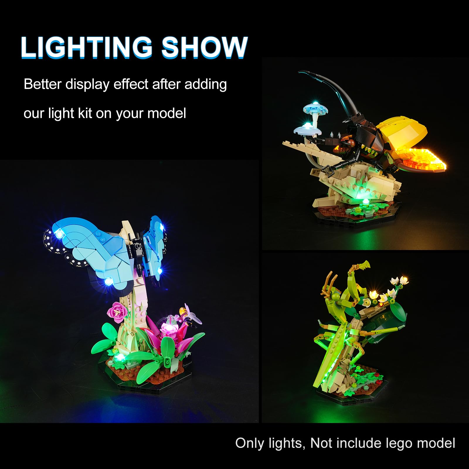Rorliny LED Light Kit for Lego Ideas The Insect Collection Building Set, Creative Lighting kit Compatible with Lego 21342 (Lights Only, No Lego Set)