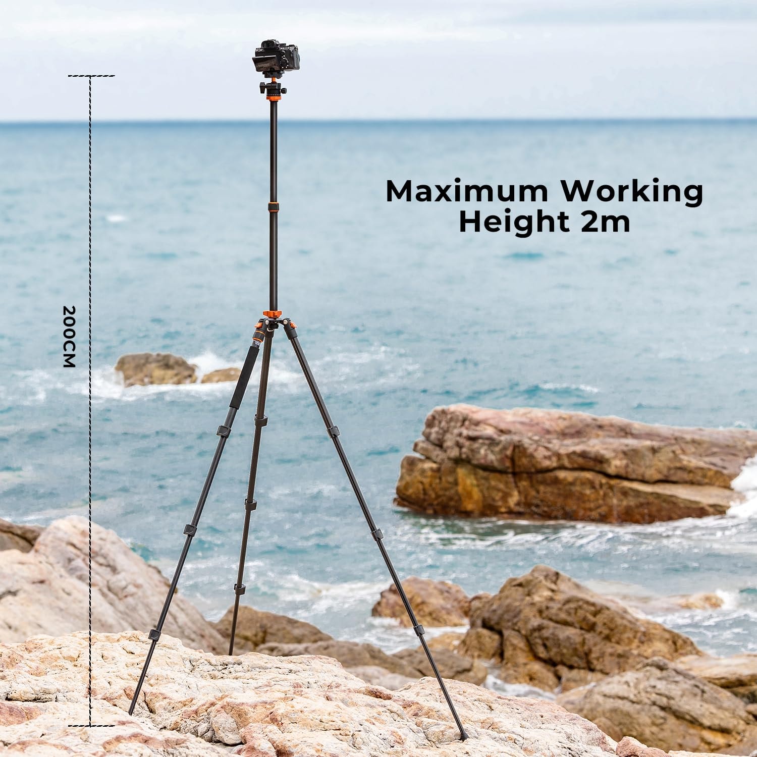 K&F Concept 78 inch Camera Tripod for DSLR Compact Aluminum Tripod with 360 Degree Ball Head and 10KG Load for Travel and Work  (S210) - Image 4