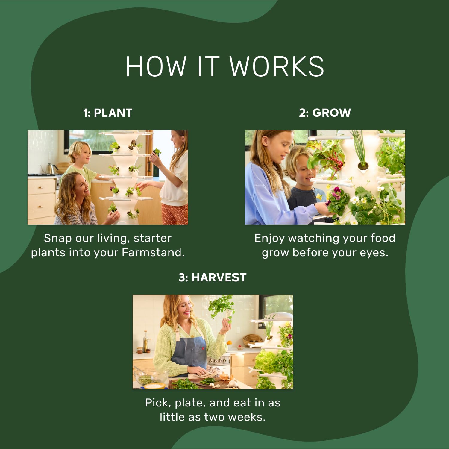 New! Lettuce Grow Farmstand Nook | 20 Plant Hydroponic System | Self-Watering Indoor Vertical Garden Planter Tower w/Pump, BPA-Free Food Grade | 4ft 7in | Made in USA…: Seedlings Included