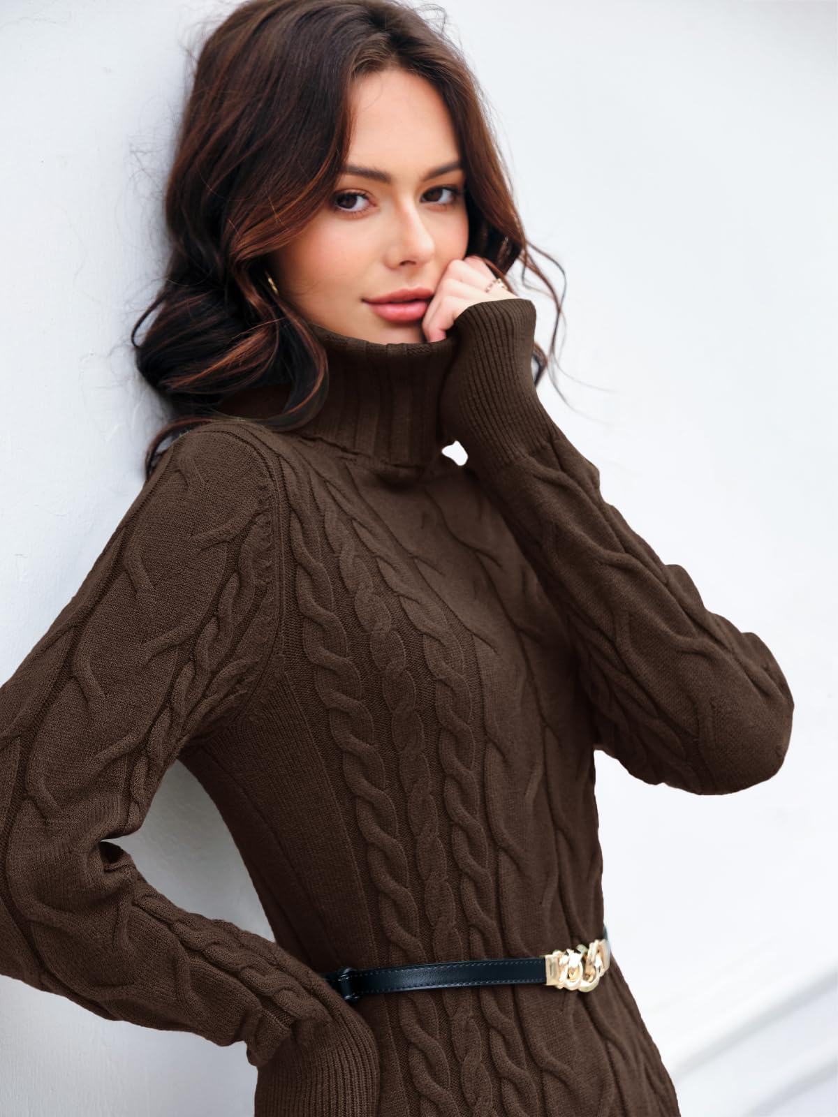 Langwyqu Womens Cable Knit Sweater Dress Sexy Long Sleeve Bodycon Turtleneck Mini Fall Sweaters Dresses: X-Large Coffee