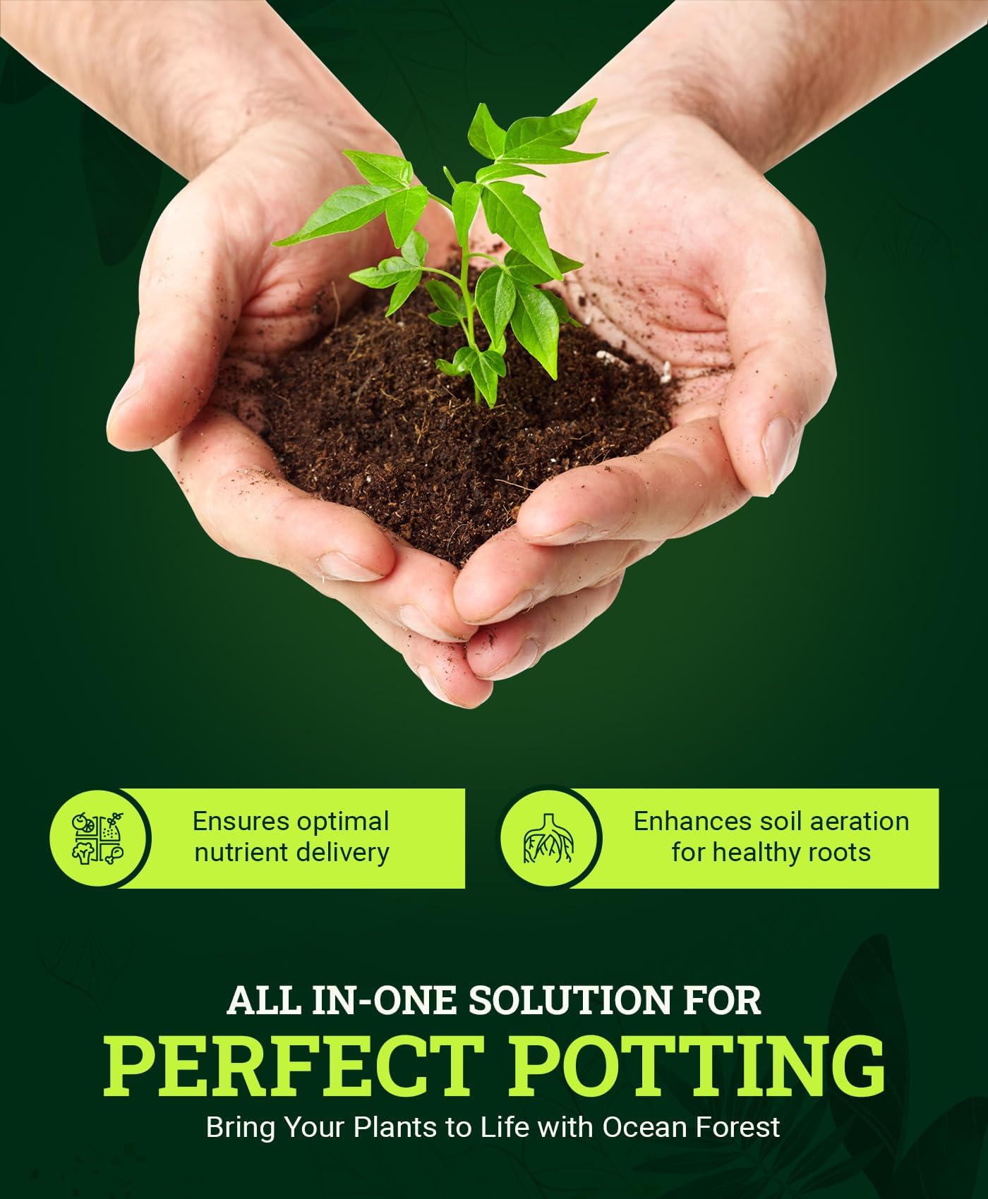 FoxFarm Ocean Forest Potting Soil, 12qt – Light, Aerated Texture, Designed for All Container Plants – pH Adjusted for Optimal Nutrient Uptake, Effectively Retains Moisture (12 Quart (1 Pack)): 12 quart (3 Pack)