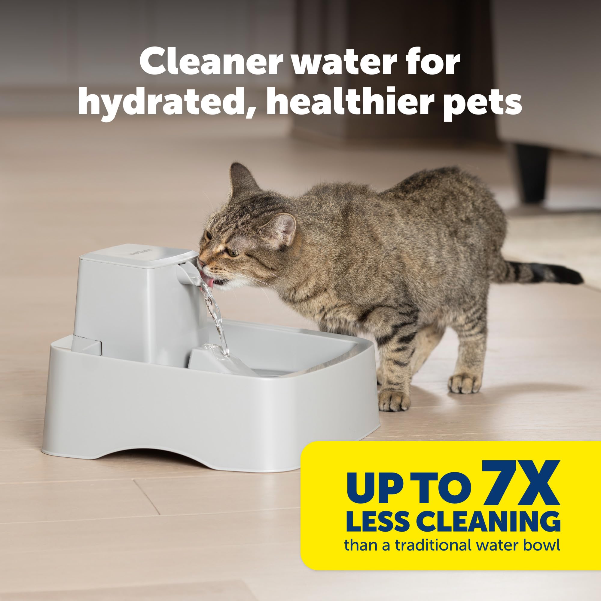 PetSafe Oasys 1/2 Gallon (64 Ounce) Small Pet Fountain - Small Dog and Cat Water Fountain - Dishwasher Safe Filtered Water Dispenser with Flow Control - Easy to Clean - Filters Included: 1 Gallon Fountain 1 Gallon