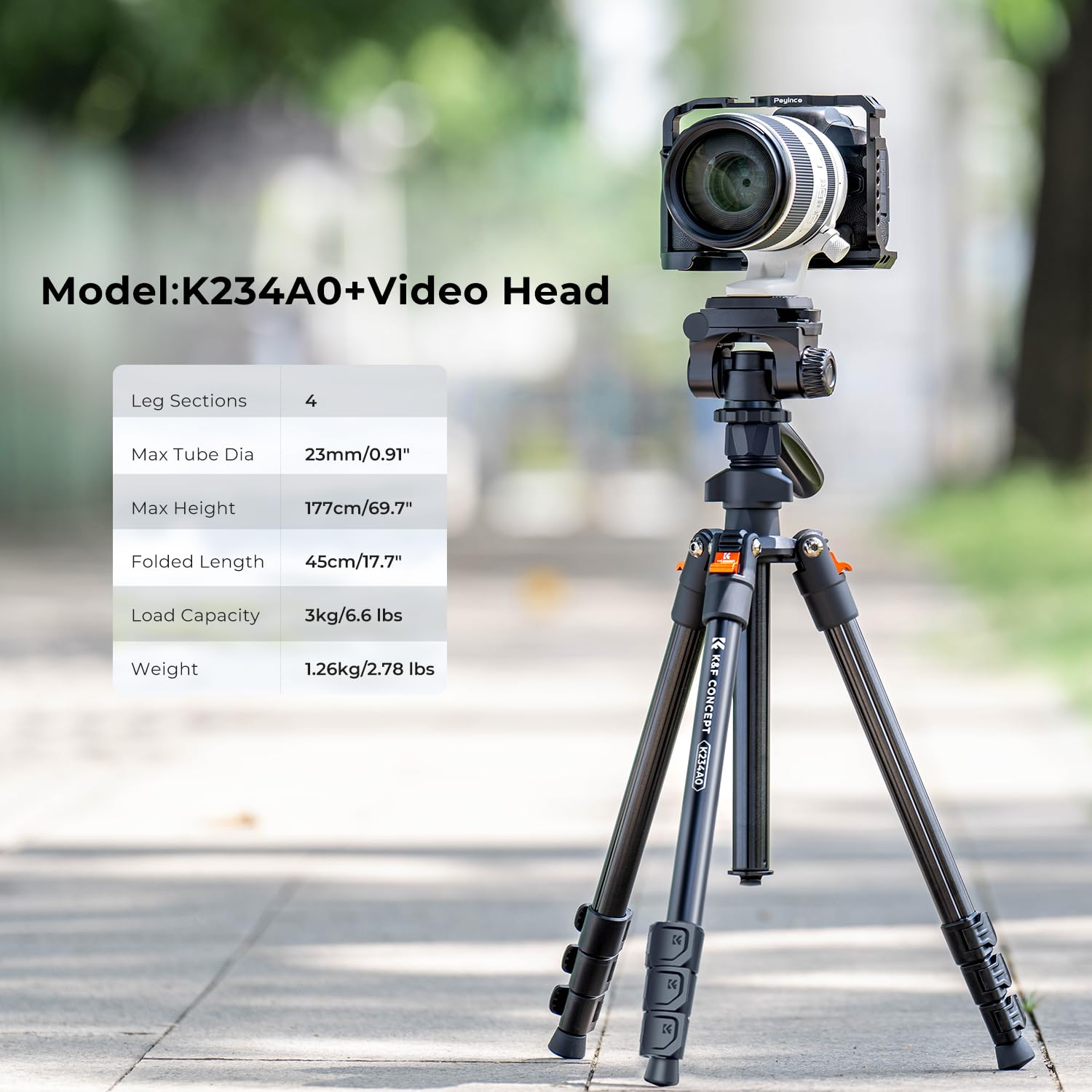K&F Concept 78 inch Camera Tripod for DSLR Compact Aluminum Tripod with 360 Degree Ball Head and 10KG Load for Travel and Work  (S210): 64" height/Swivel Pan Head
