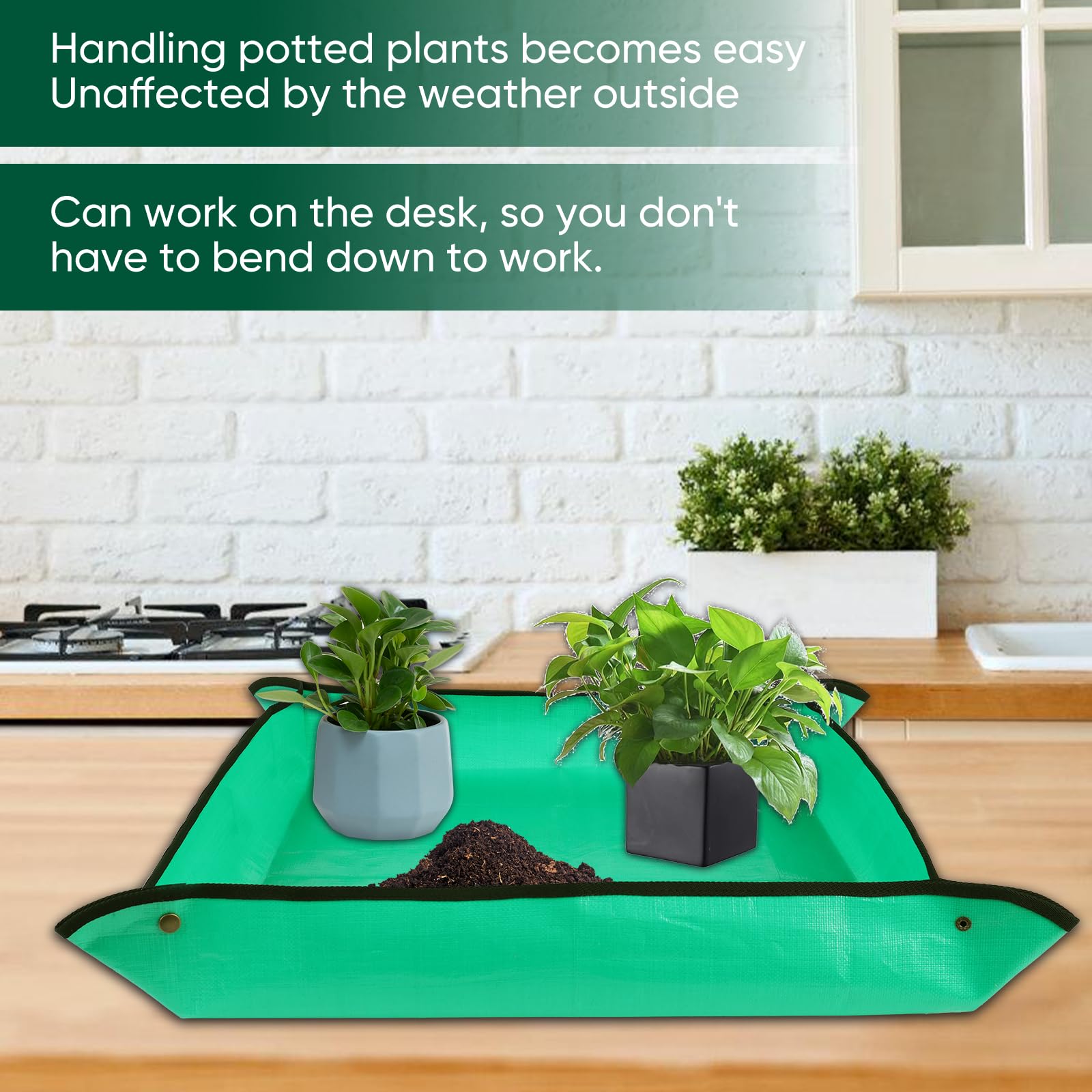 LCHUANG Repotting Mat for Indoor Plant Transplanting - 26'' x 26'' Planting Soil Mess Control, Portable Succulent Potting Tray Waterproof Gardening Mat (Pale Green): 26 x 26"