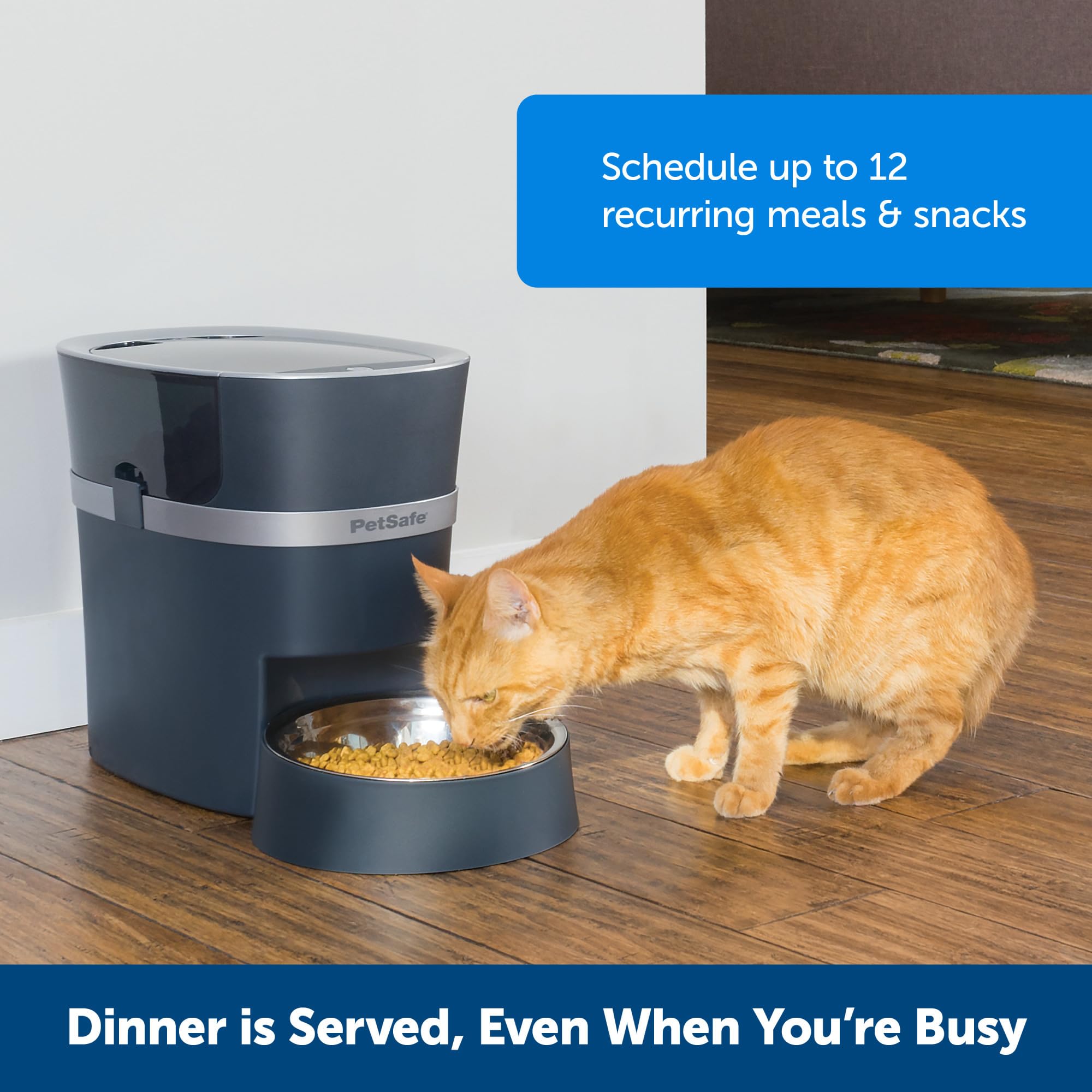 PetSafe Smart Feed - Electronic Pet Feeder for Cats & Dogs - 6L/24 Cup Capacity - Programmable Mealtimes - Alexa, Apple & Android Compatible - Backup Batteries Ensure Meal Delivery During Power Outage: Feeder for 1 Pet