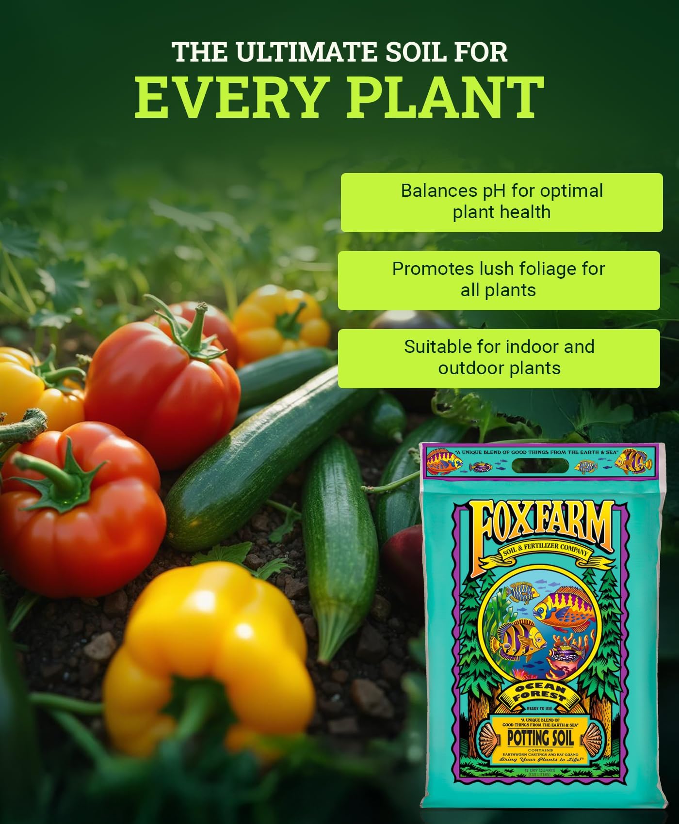 FoxFarm Ocean Forest Potting Soil, 12qt – Light, Aerated Texture, Designed for All Container Plants – pH Adjusted for Optimal Nutrient Uptake, Effectively Retains Moisture (12 Quart (1 Pack)): 12 quart (3 Pack)