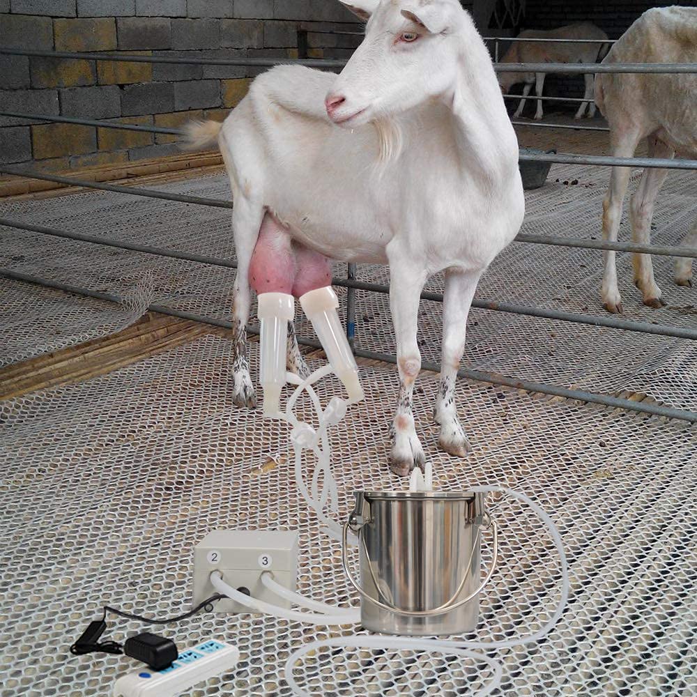 MAPOTAD 3L Goat Pulsation Vacuum Electric Milking Machine, Automatic Portable Pulse Breast Pump with 2 Teat Cups Stainless Steel Bucket for Goat.