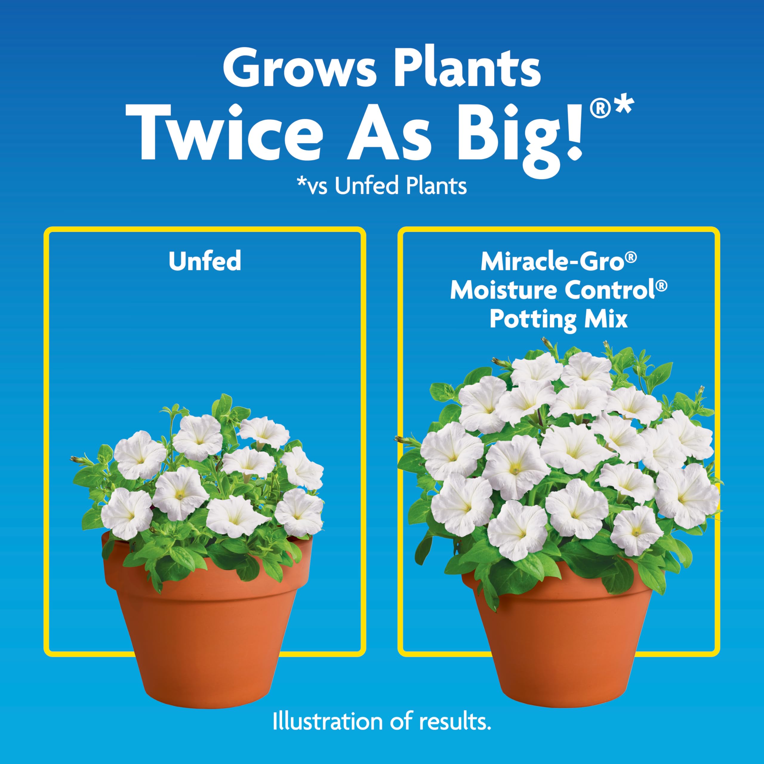 Miracle-Gro Moisture Control Potting Mix, For Container Plants, Protects against Over- and Under-Watering, 8 qt., 2-Pack thumbnail 5