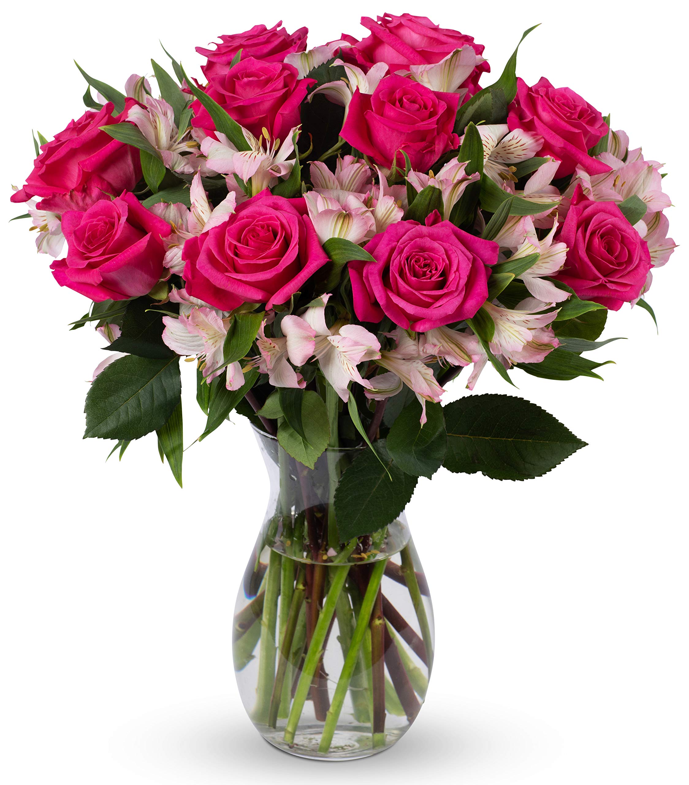 Benchmark Bouquets - Elegance Roses & Alstroemeria (Glass Vase Included) - Fresh Flowers for Delivery - Gift for Graduation, Birthday, Anniversary, Sympathy, Get Well, Congratulations: Pink/Pink