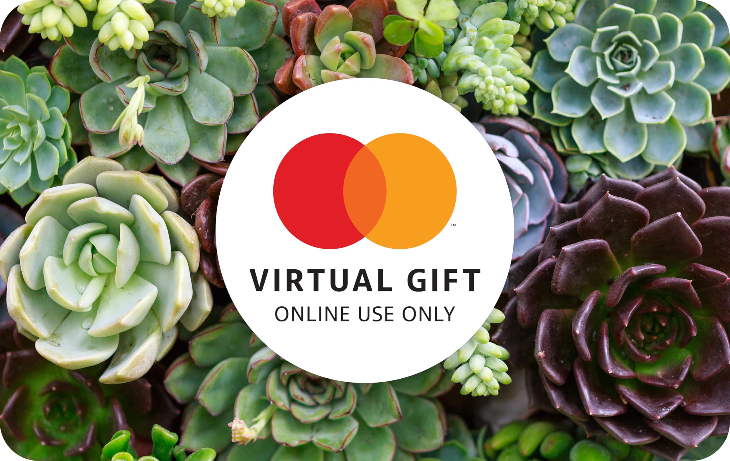 Mastercard Virtual $200 eGift Card (plus $6.95 purchase fee) – For Online Use Only: 200 Floral